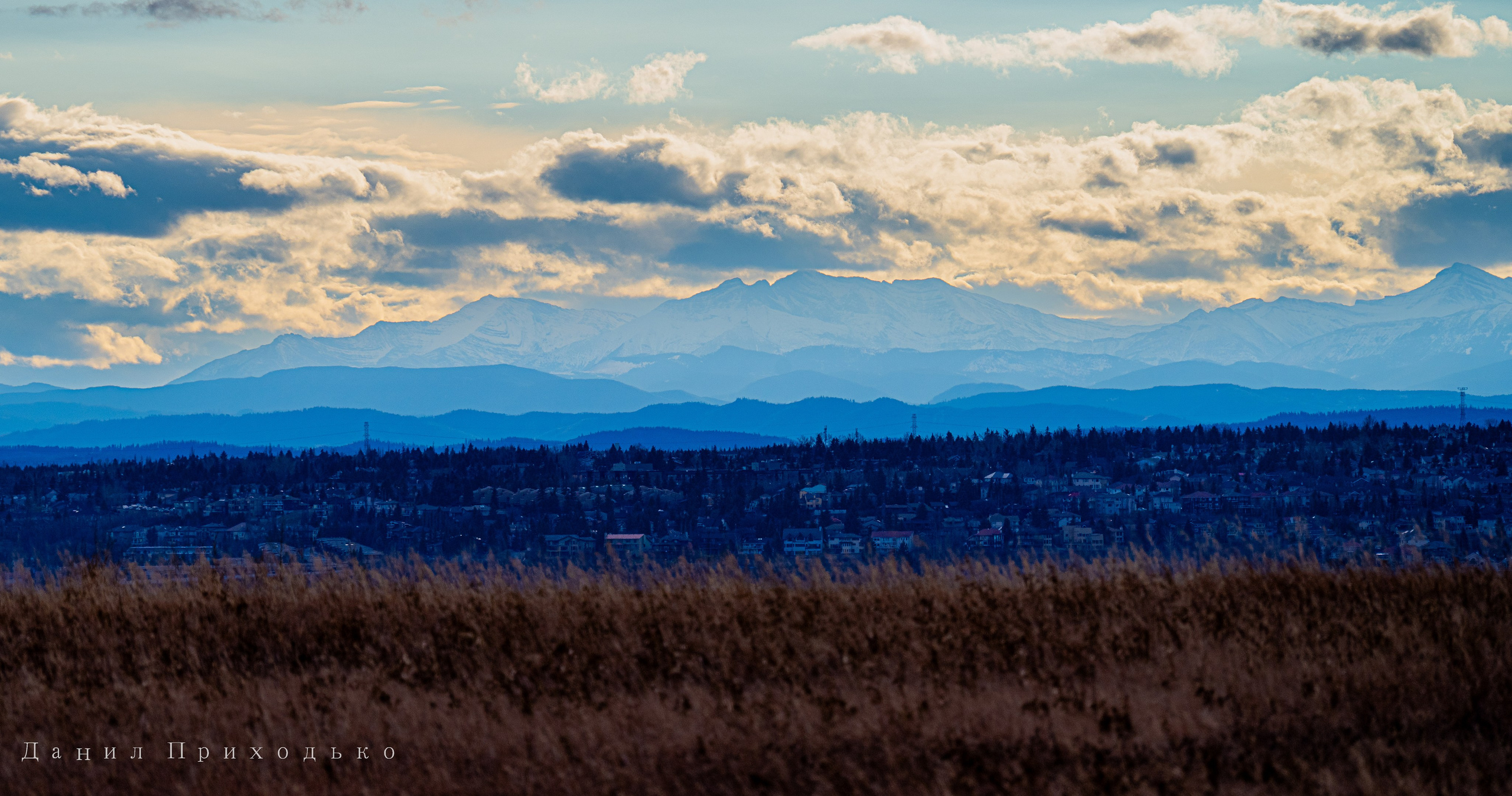 Danil Prikhodko Photography