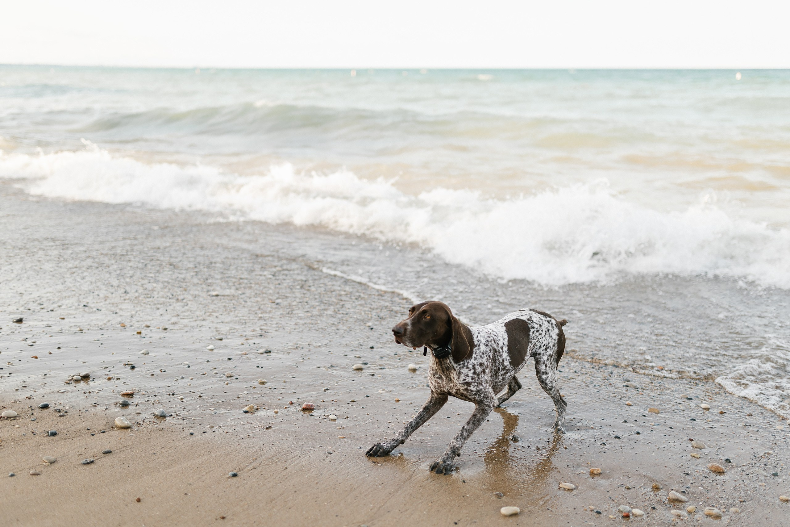 08.17.25 Family Photoshoot. Wedding family event photographer in Chicago Nick Yushevich