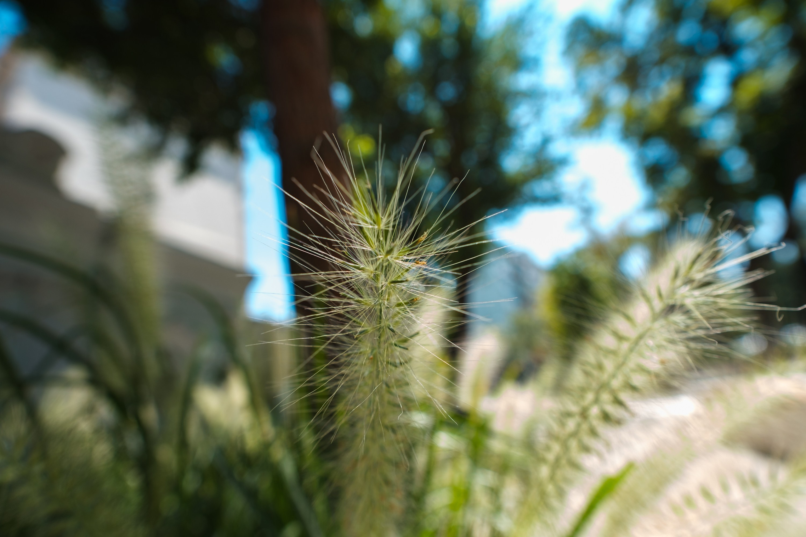 Sigma 12 mm F/1.4 DC DN Contemporary. Фотограф Григорий Кравец