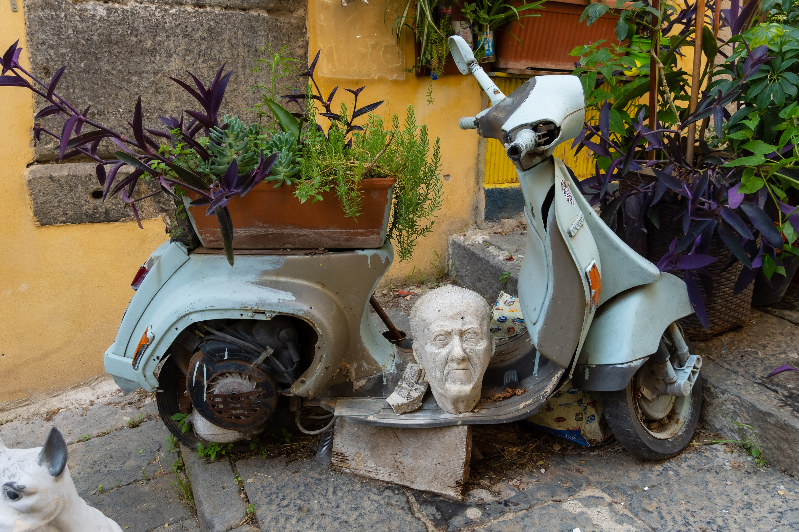 Napoli 2025. Fotografiideplacere.net