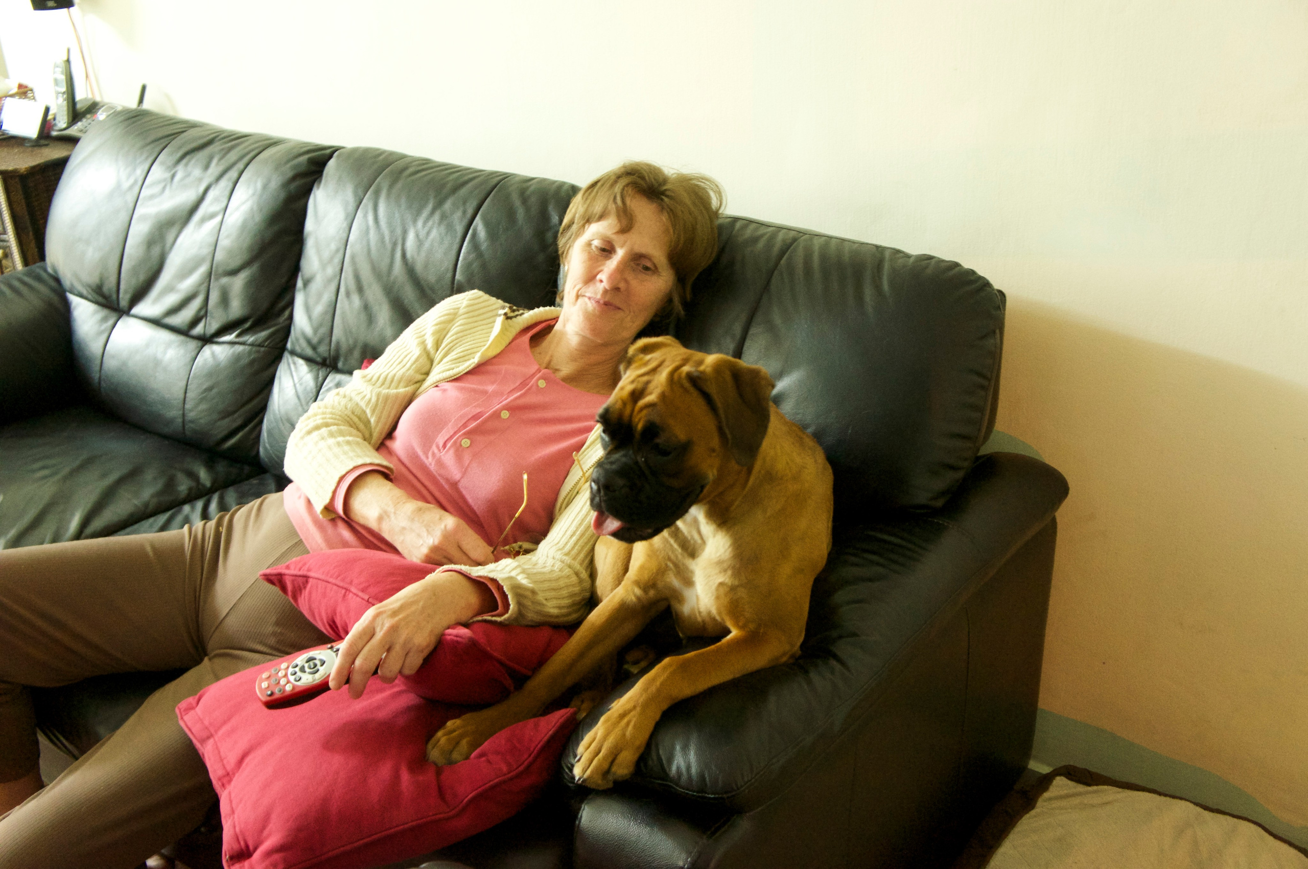 My ״Star״ Boxer Dog