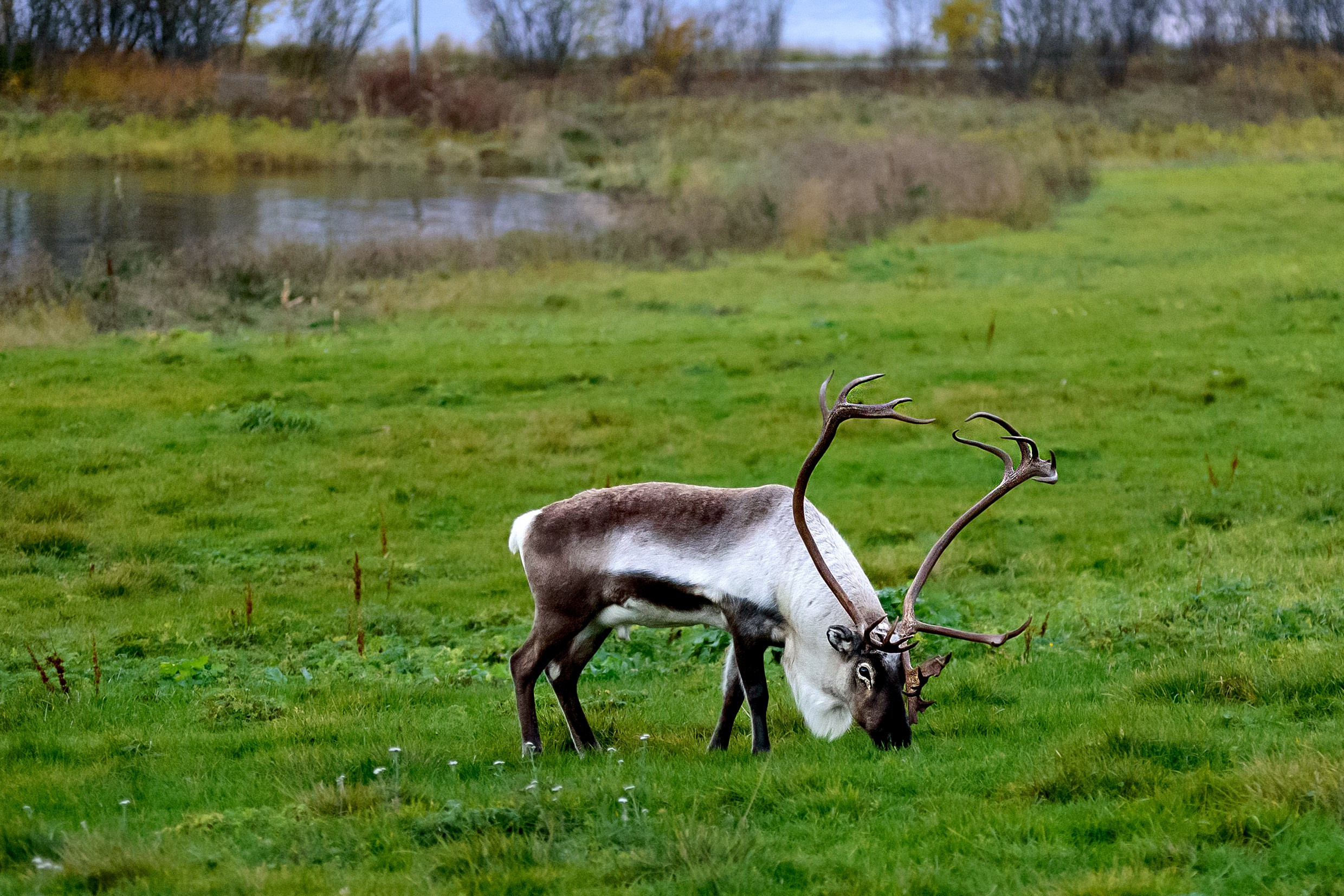 Travel. Klausenburg Photography