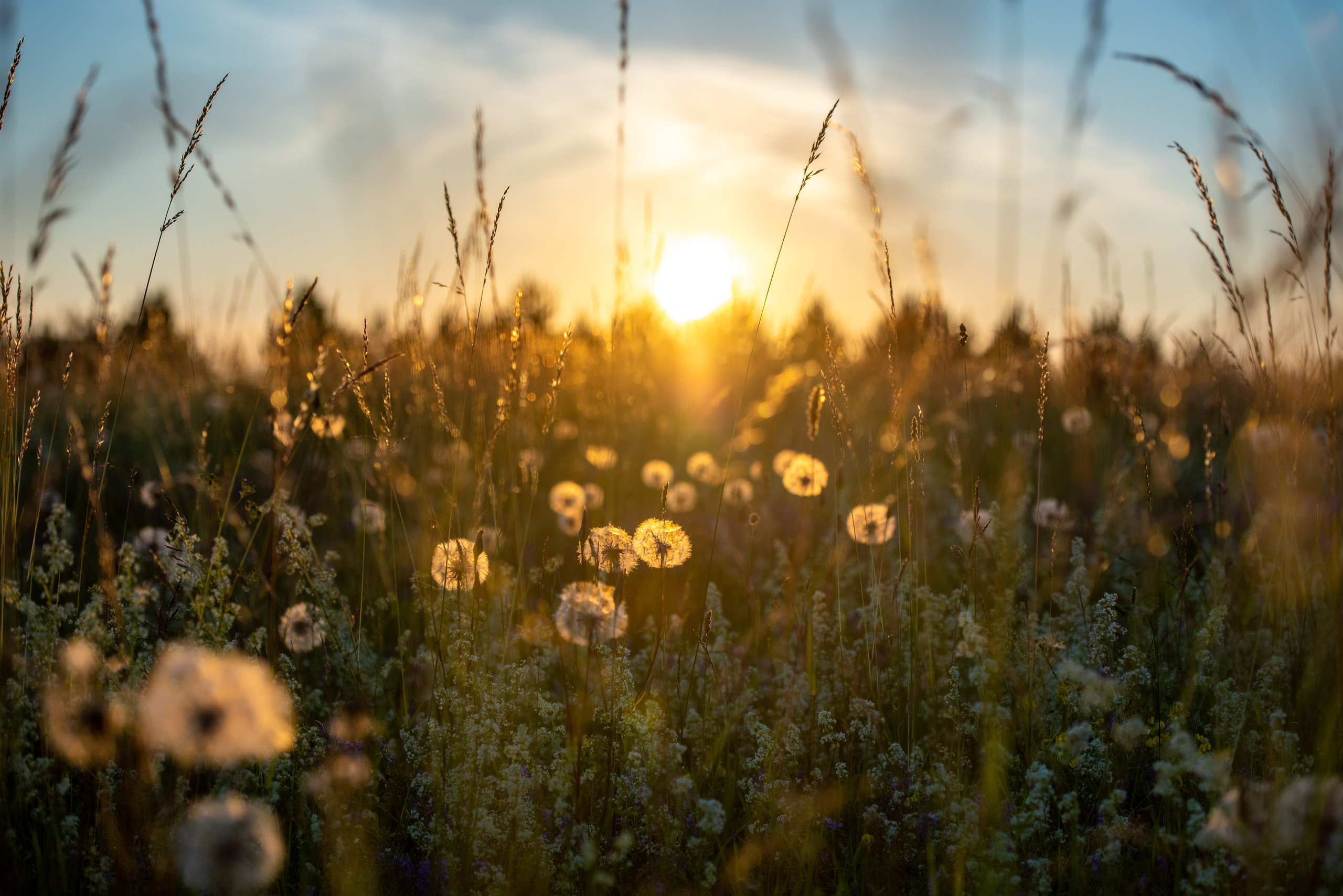 Nature. Ritvars Pujats Emotion Photographer