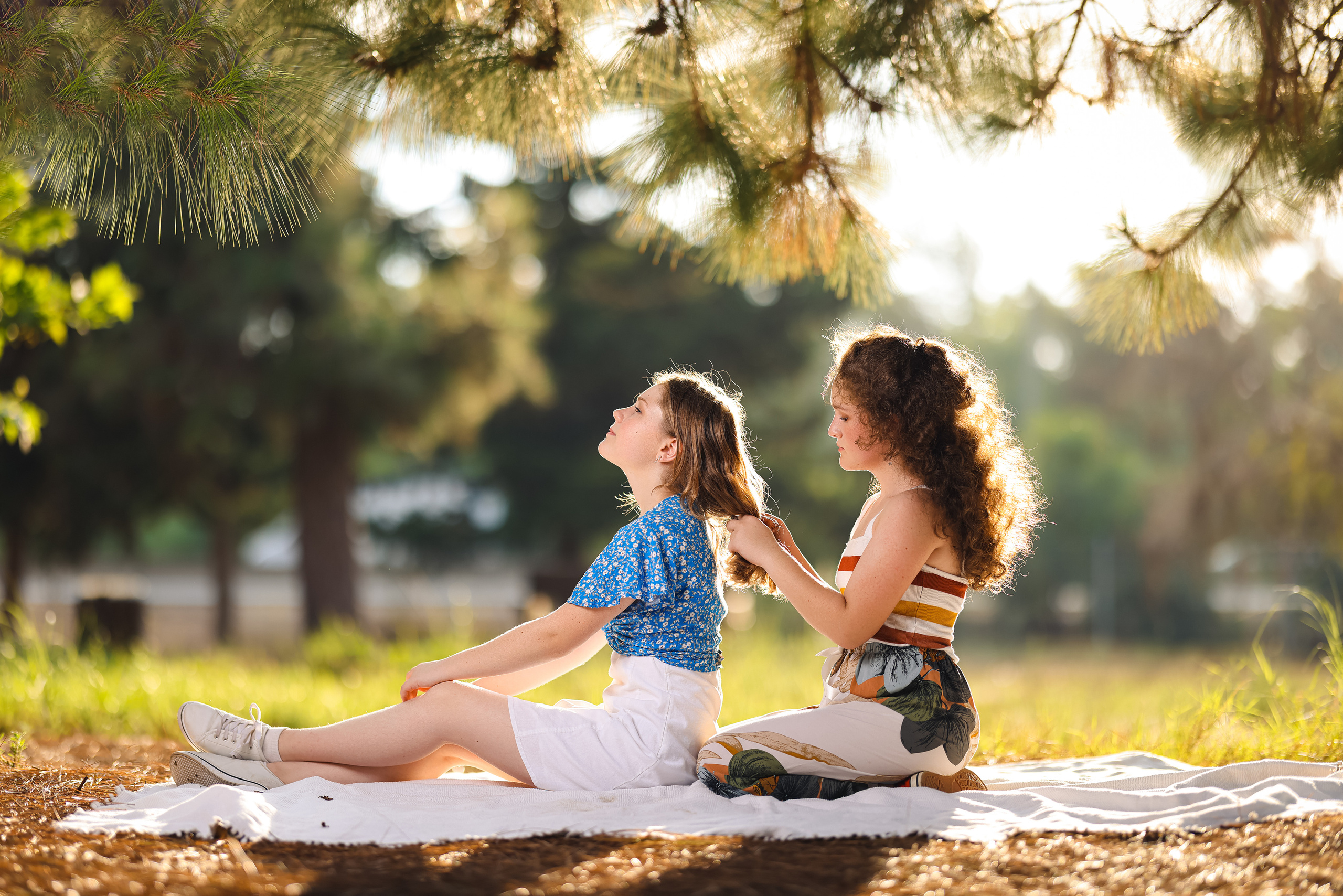 Sunset. Time machine Studio