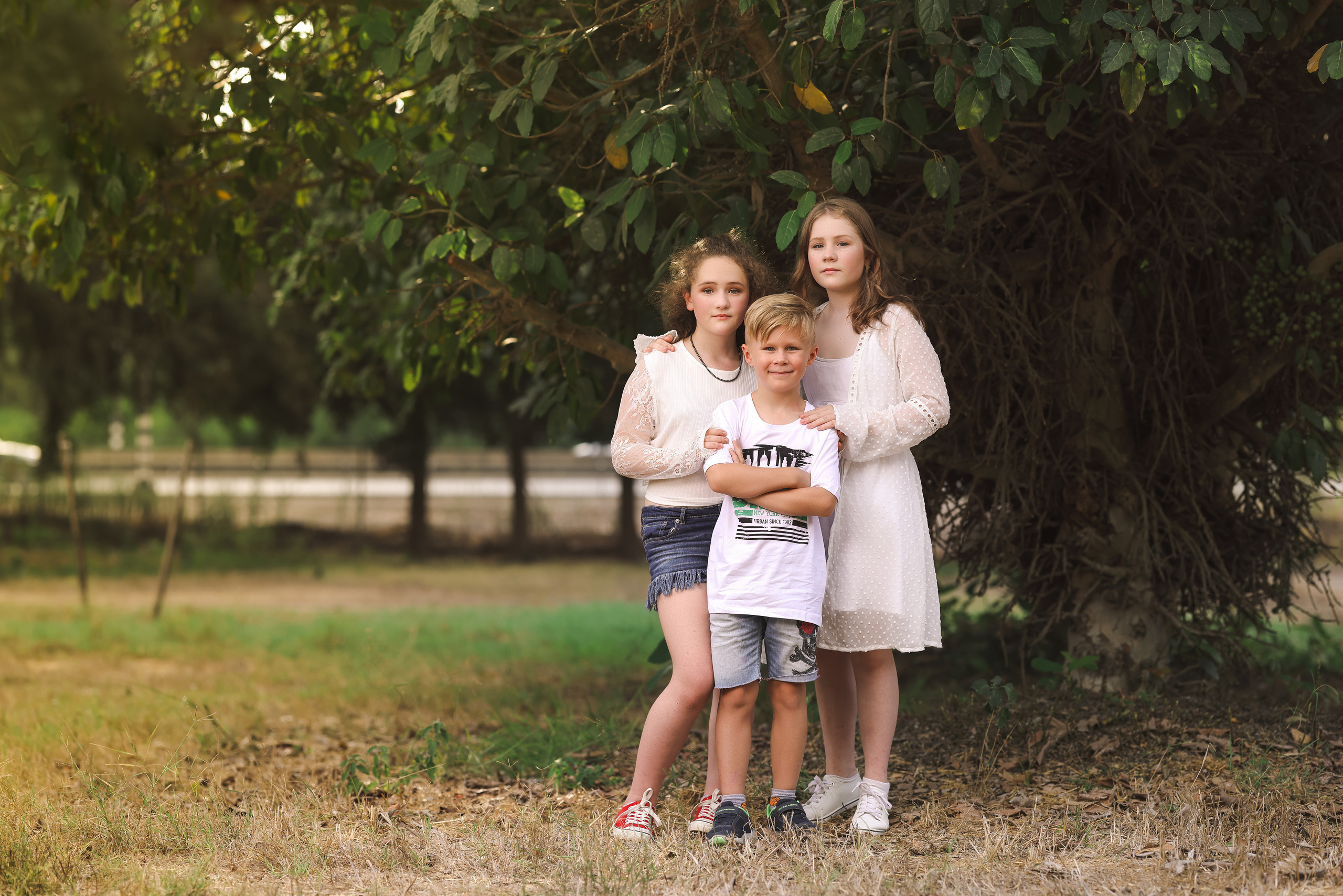 Sunset. Time machine Studio