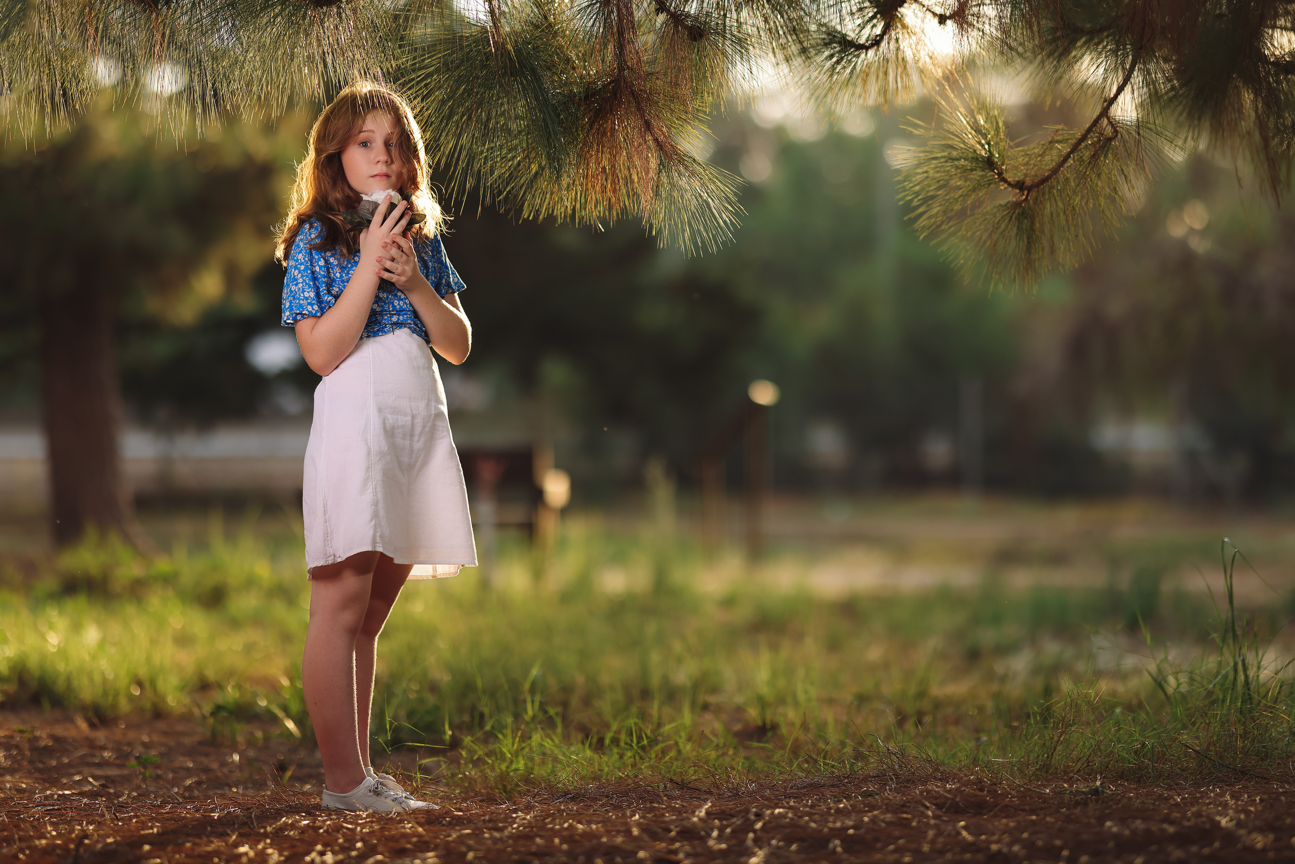 Sunset. Time machine Studio