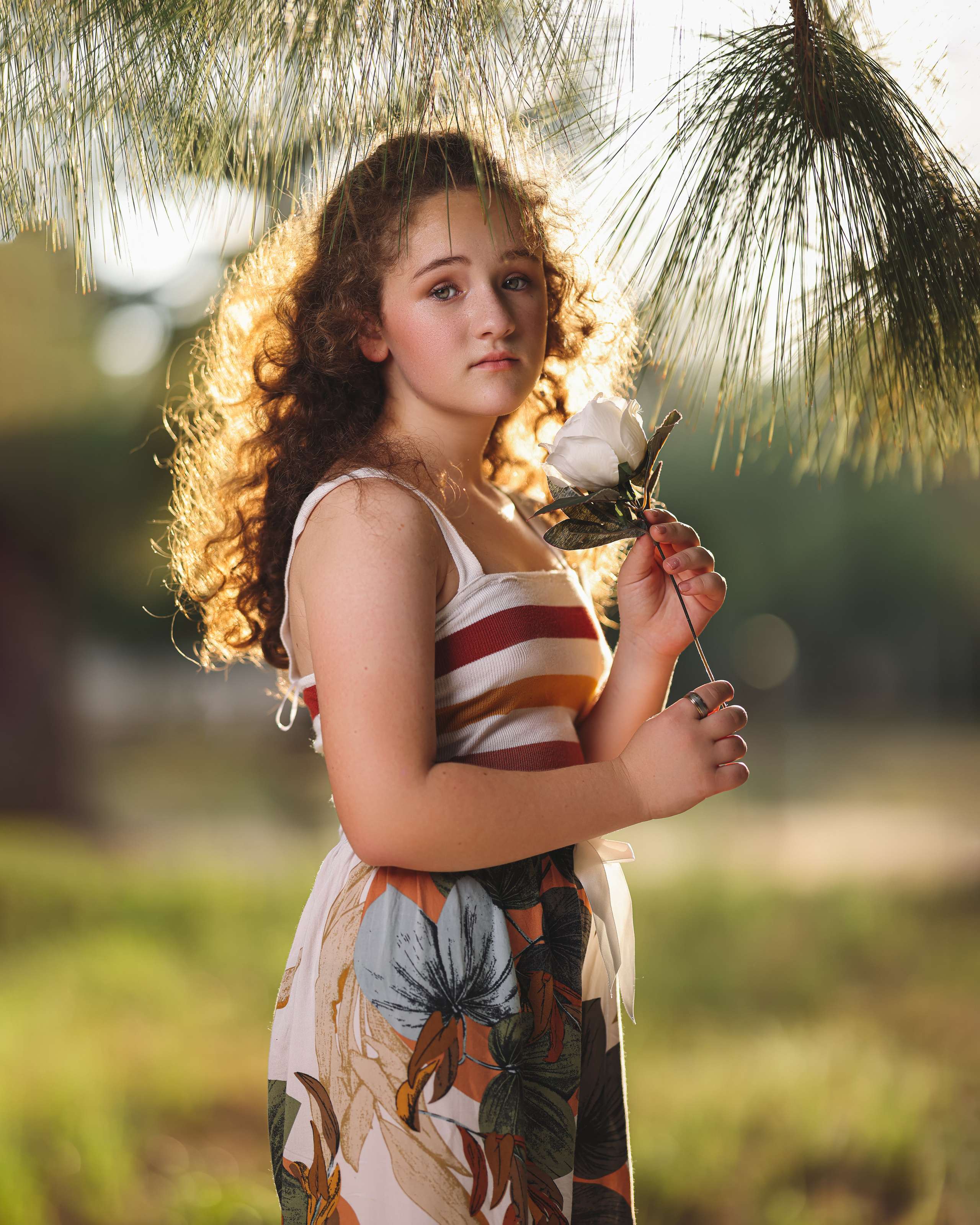 Sunset. Time machine Studio