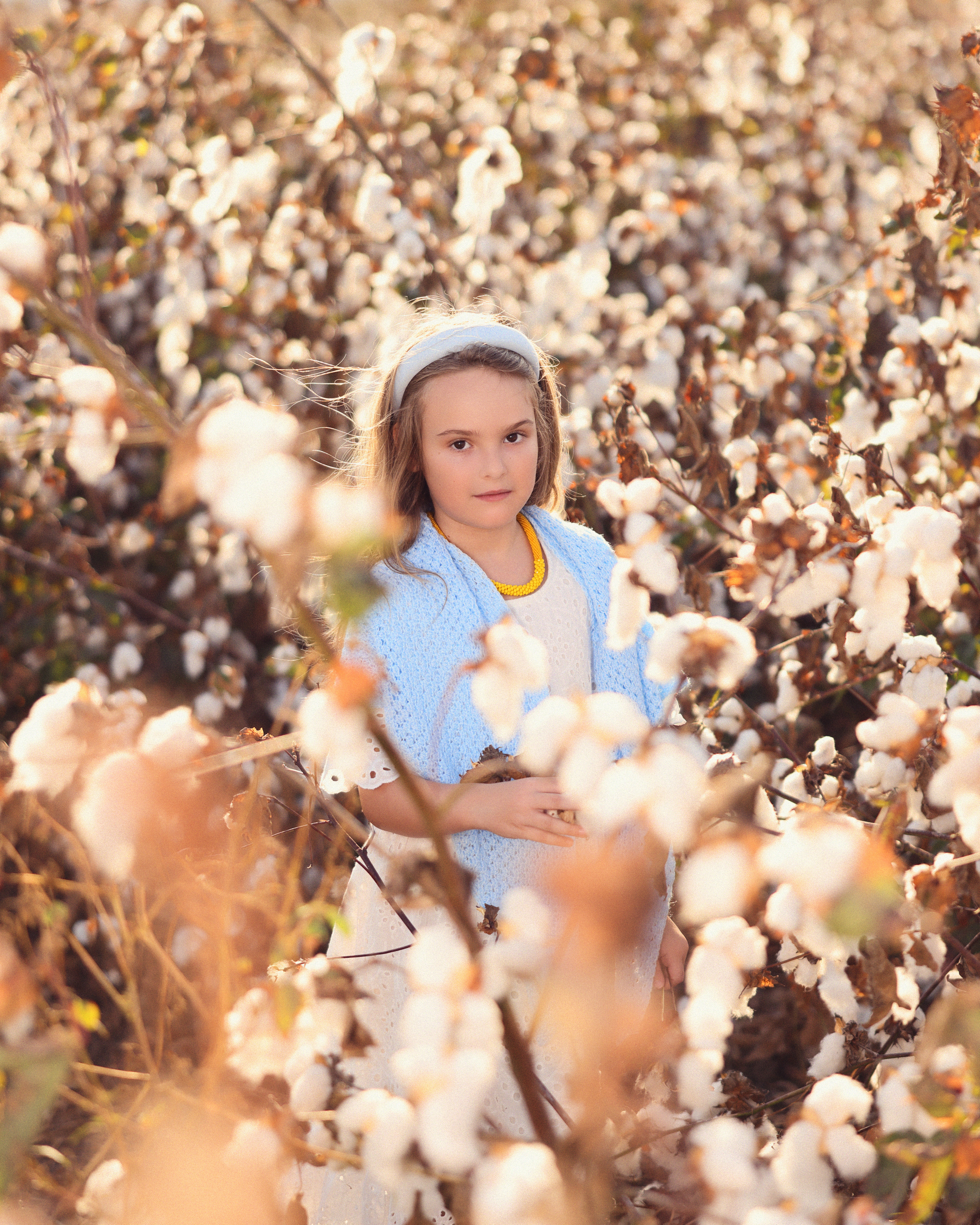 Хлопок. Time machine Studio