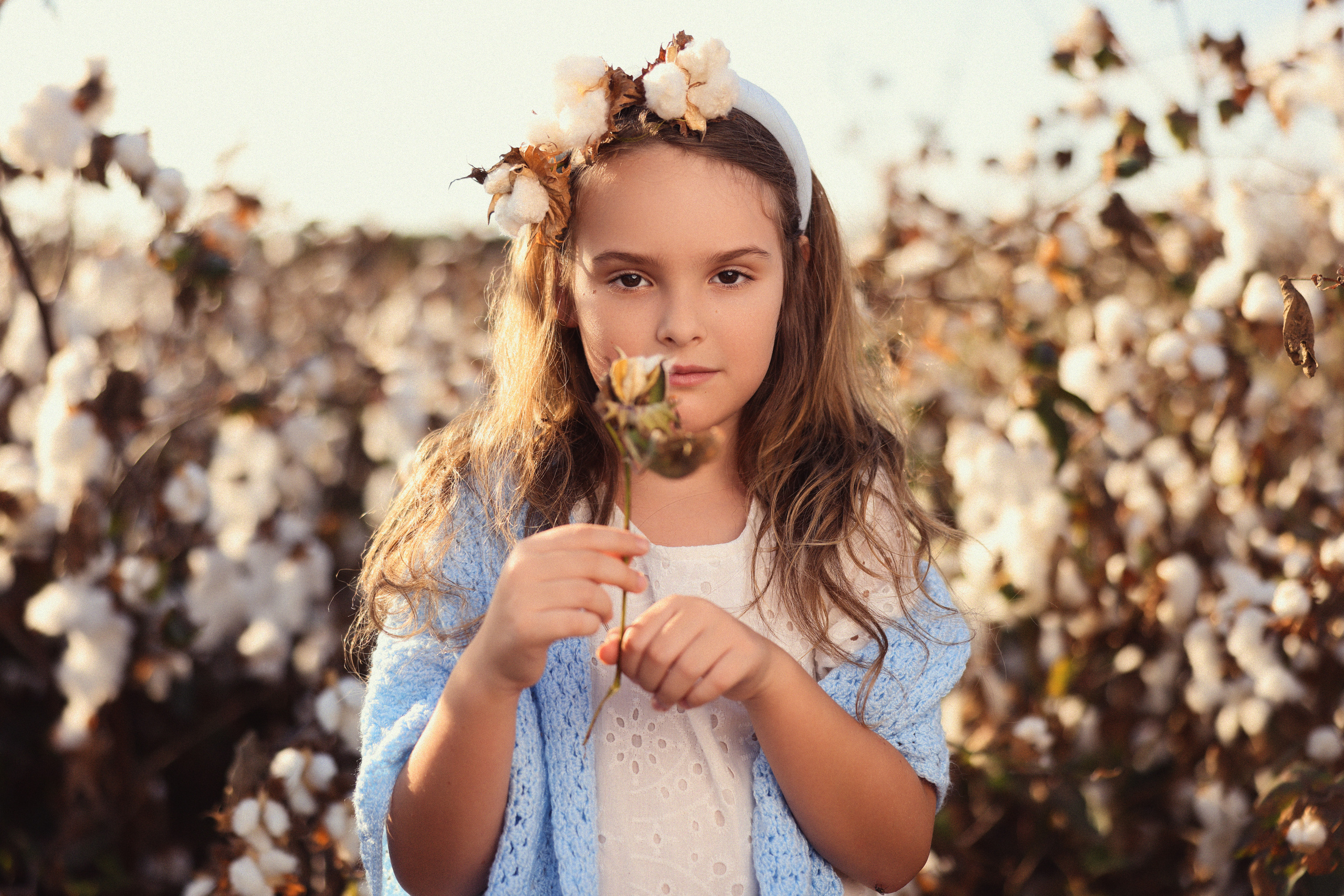 Хлопок. Time machine Studio