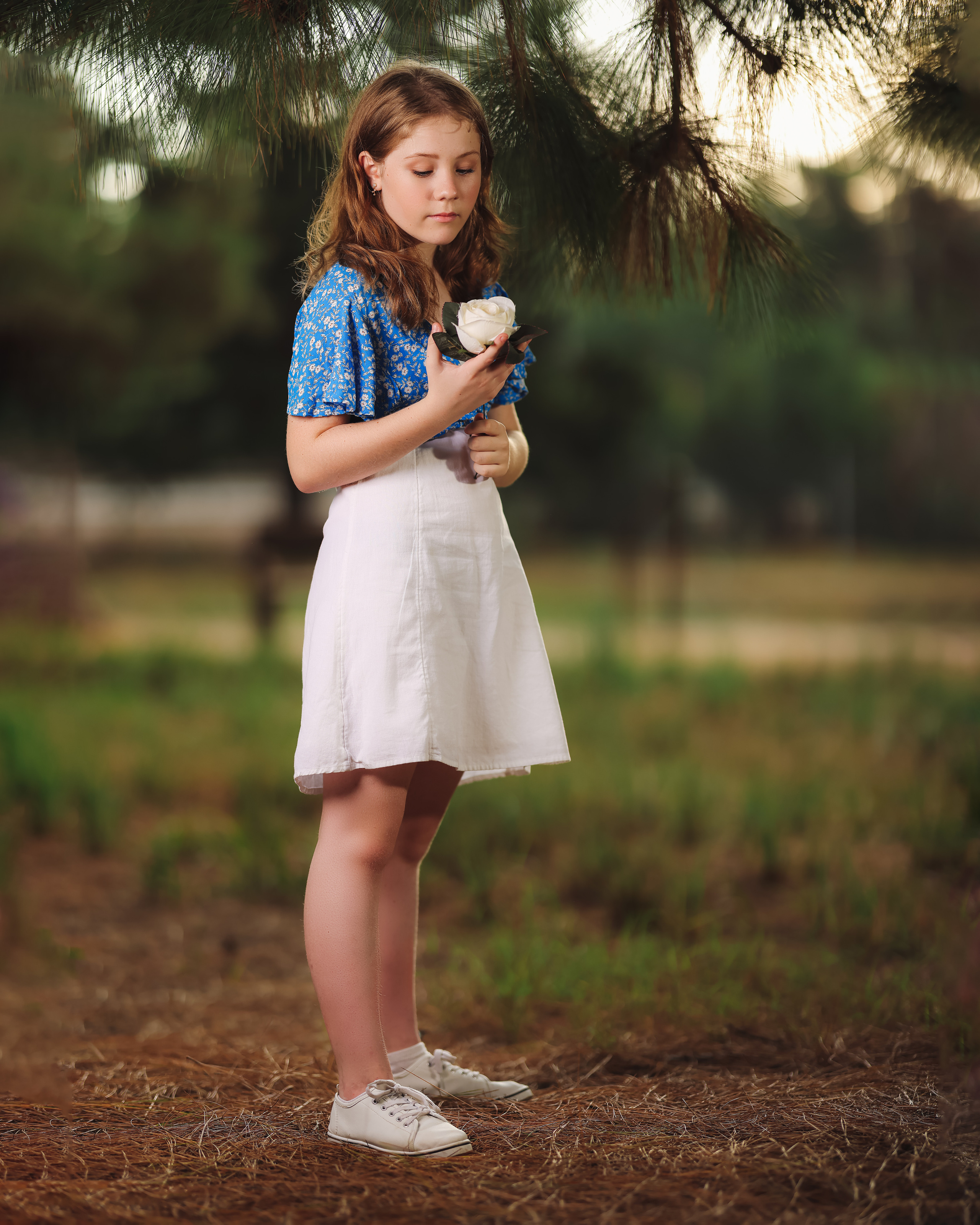 Sunset. Time machine Studio