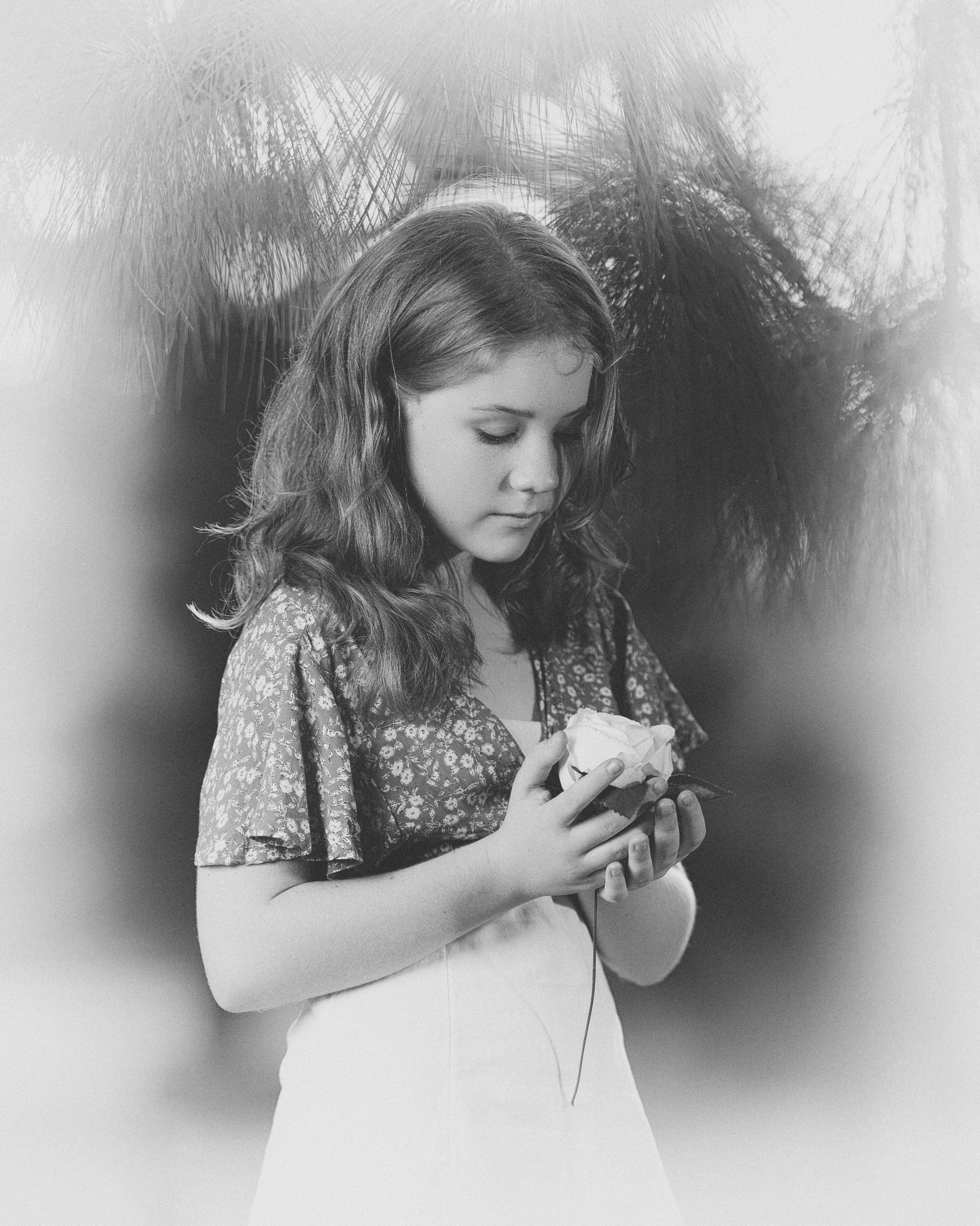 Sunset. Time machine Studio