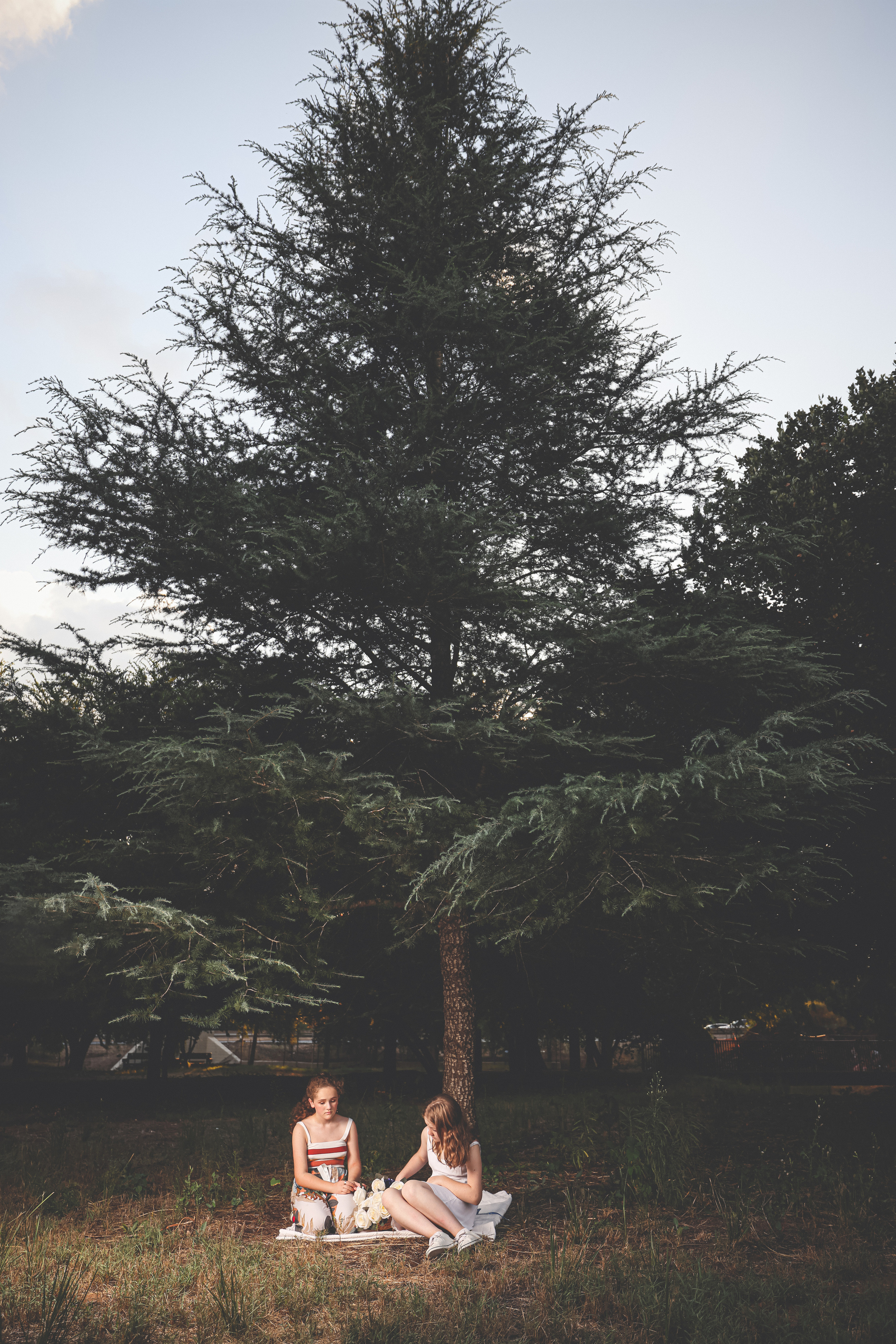 Sunset. Time machine Studio