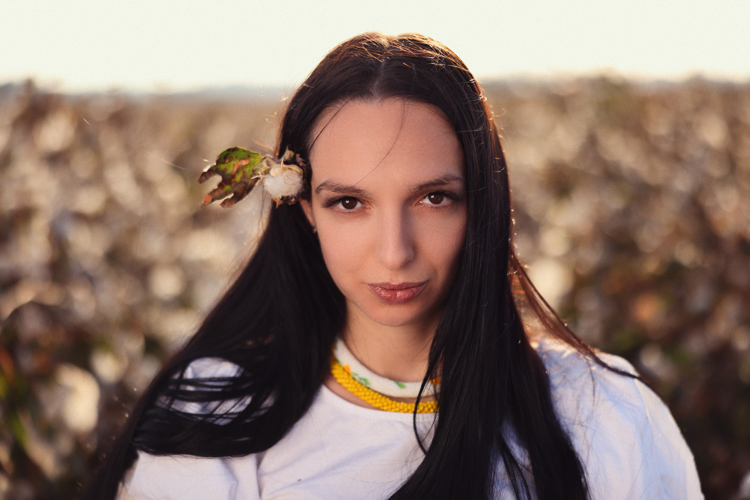 Хлопок. Time machine Studio