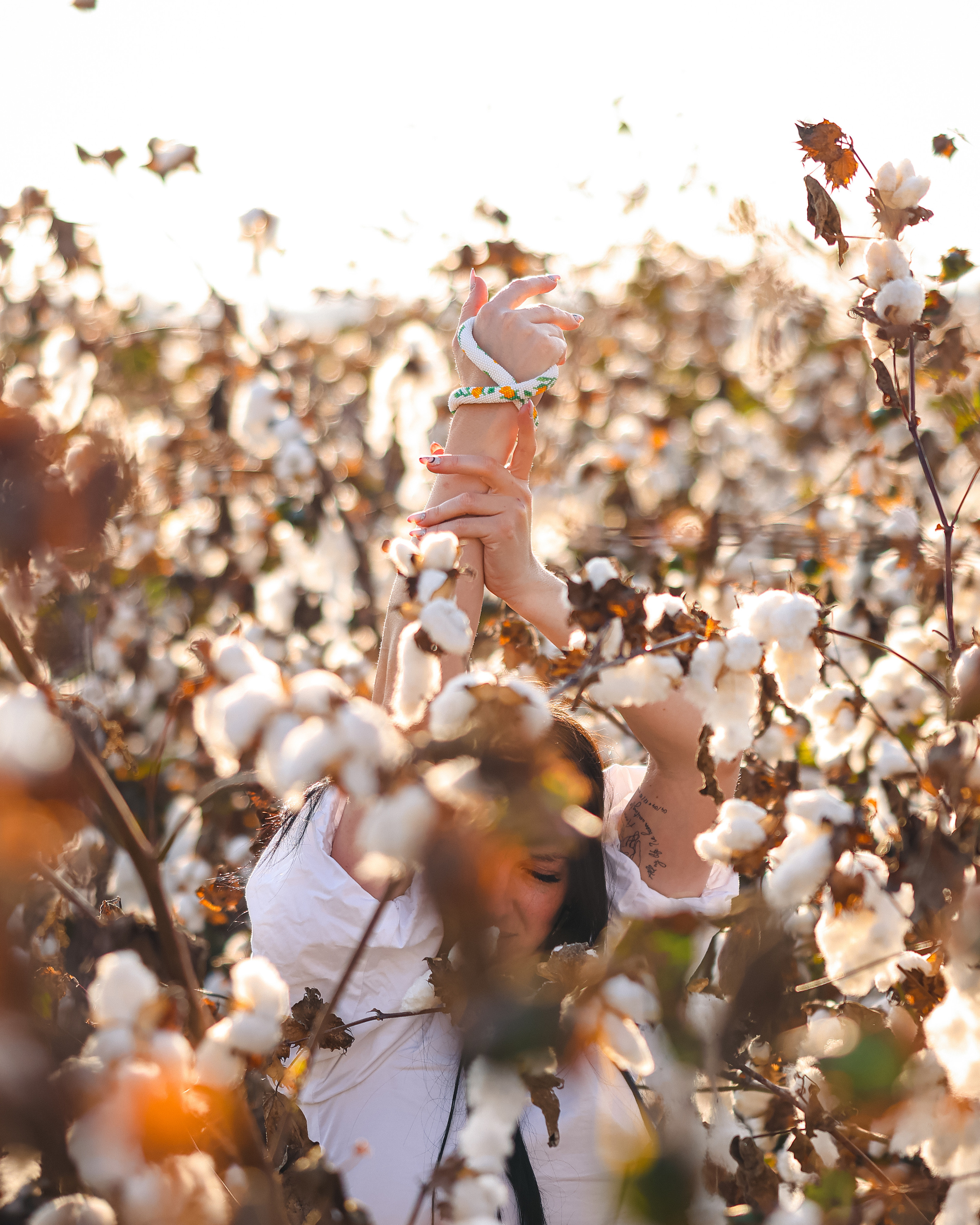 Хлопок. Time machine Studio