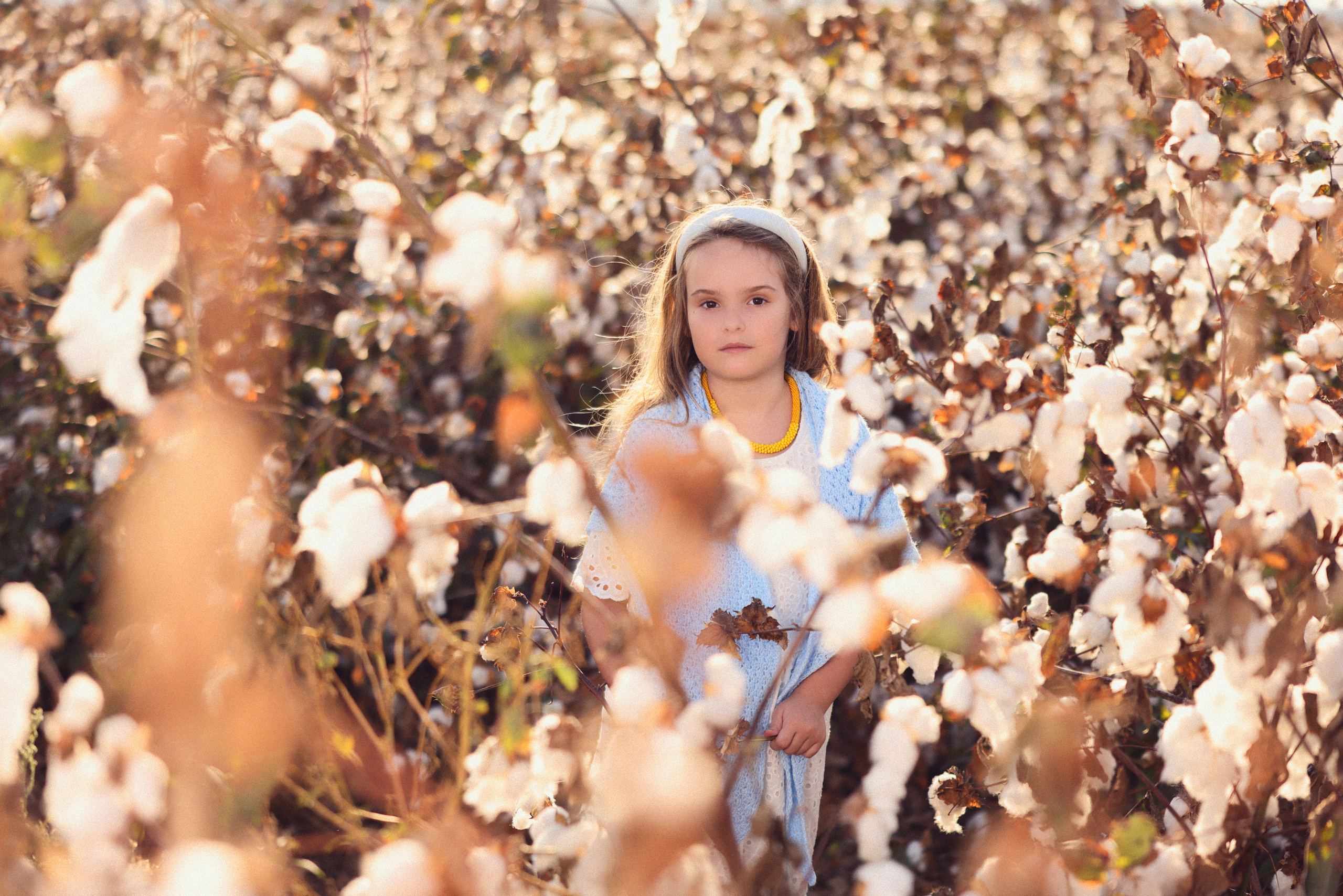 Хлопок. Time machine Studio