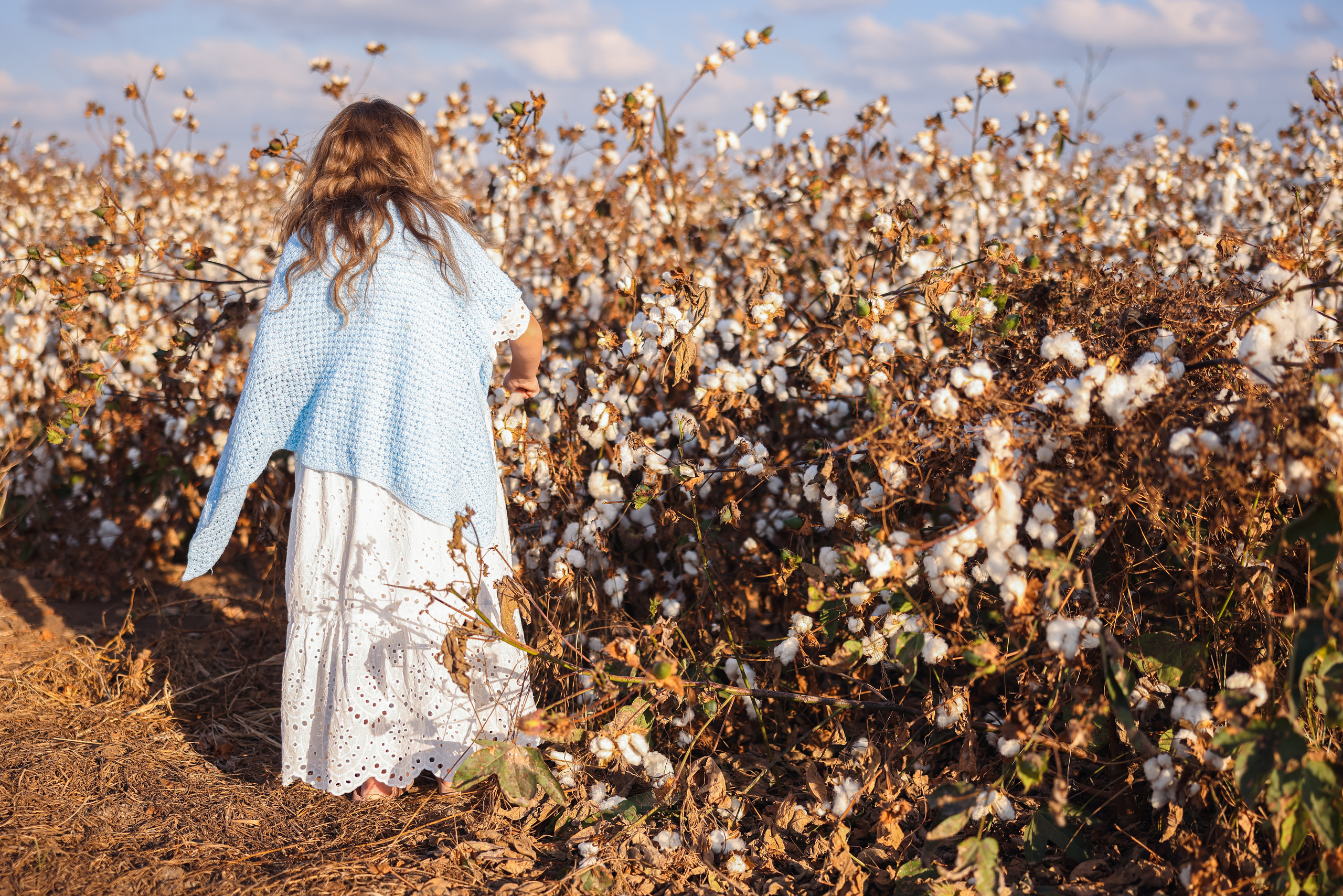 Хлопок. Time machine Studio