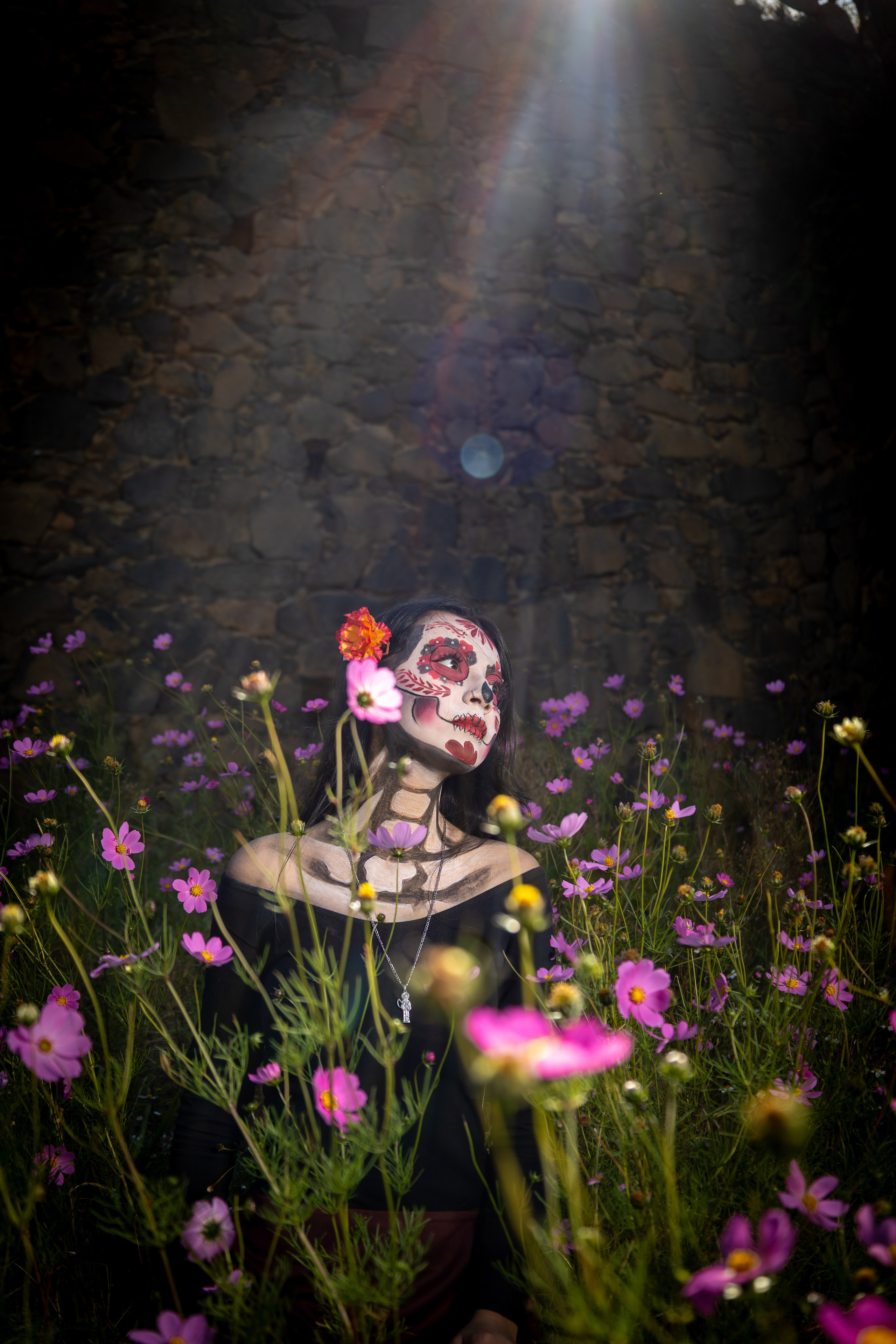 Trabajos Recientes. Principal