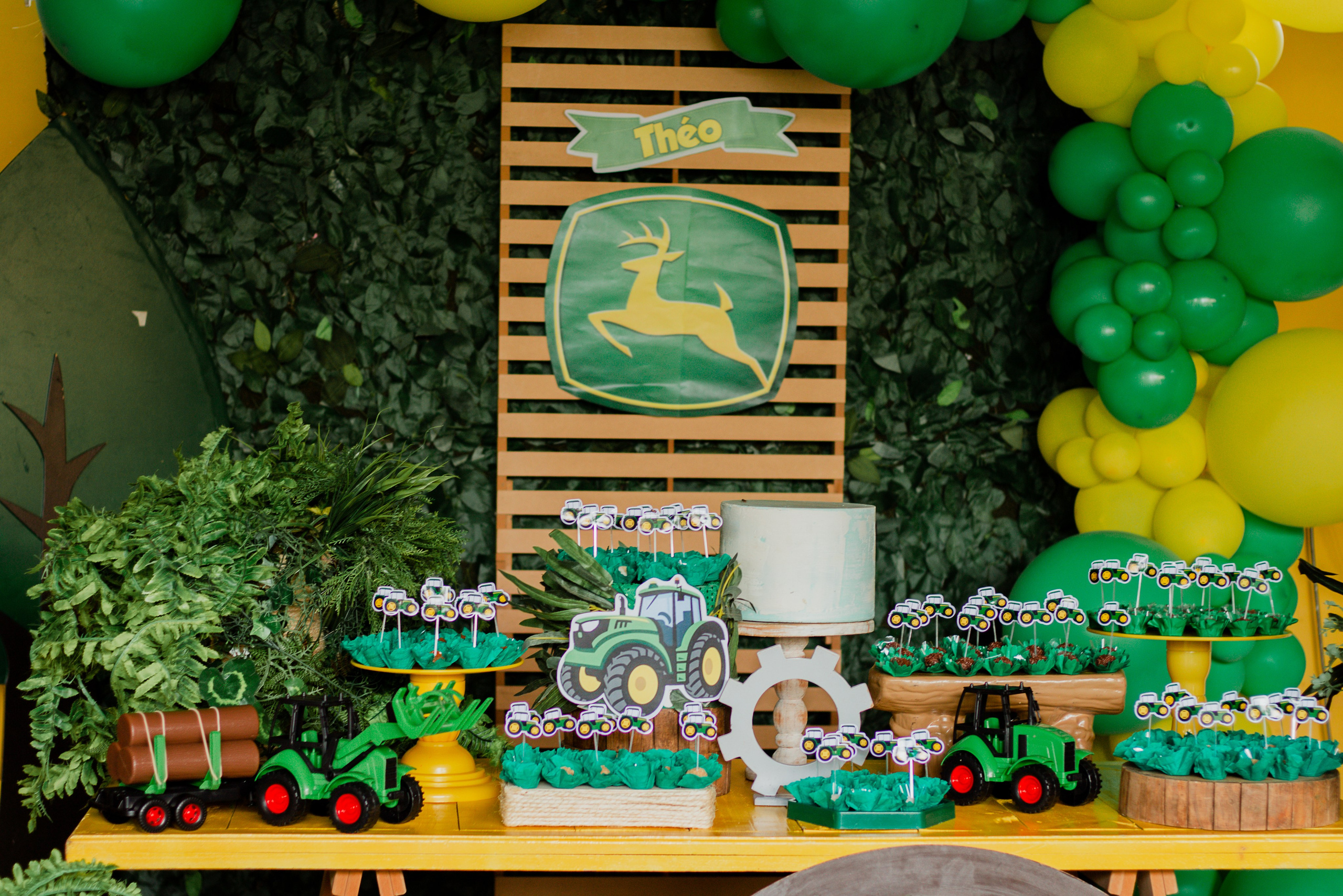 Fotografia de Aniversário Infantil em Holambra – Theo, 2 anos | Joyce Maria. Joyce Maria Fotografia | Fotógrafa em Holambra