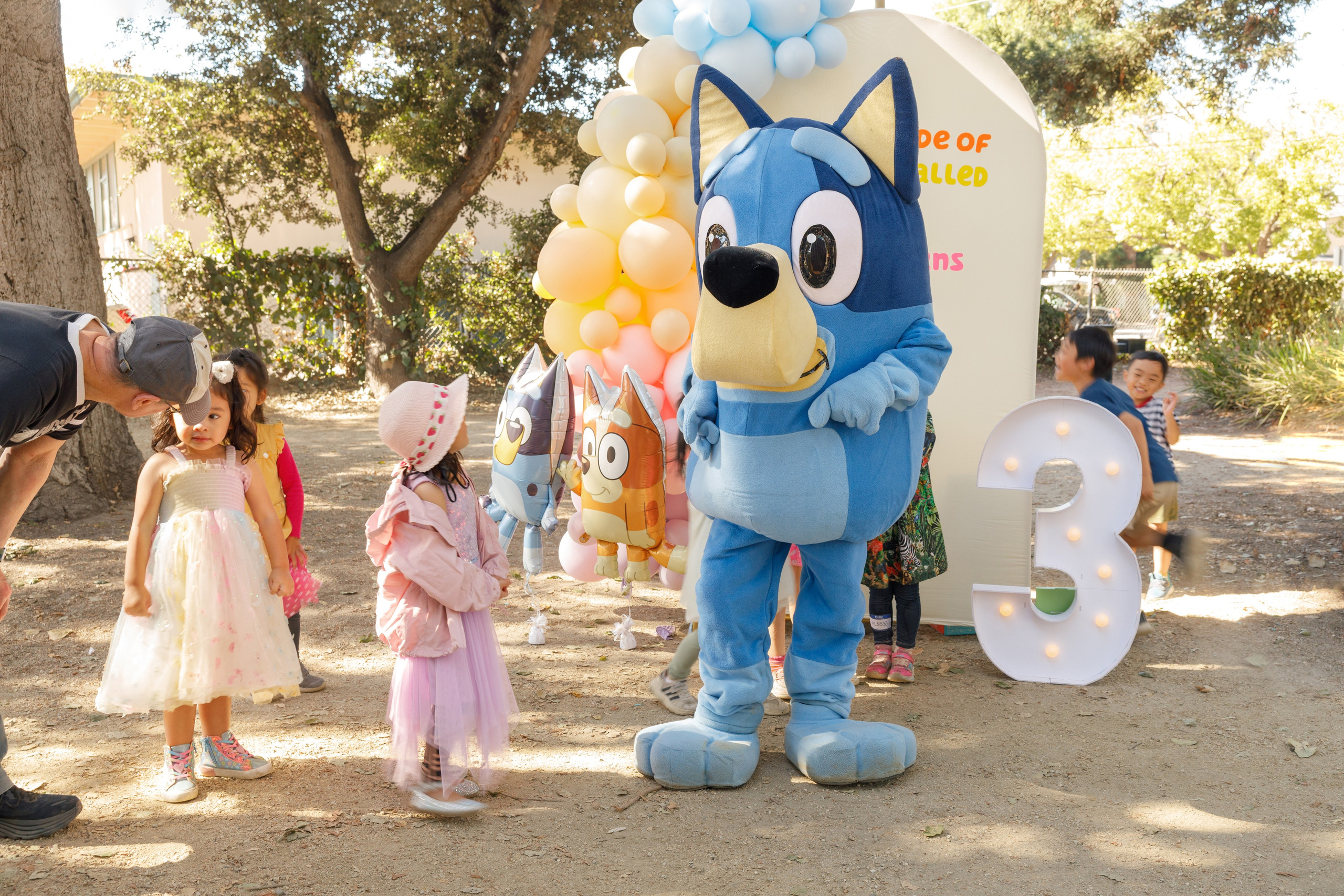 3rd birthday. Family and Event photographer in Bay Area Elena Tiuriumina