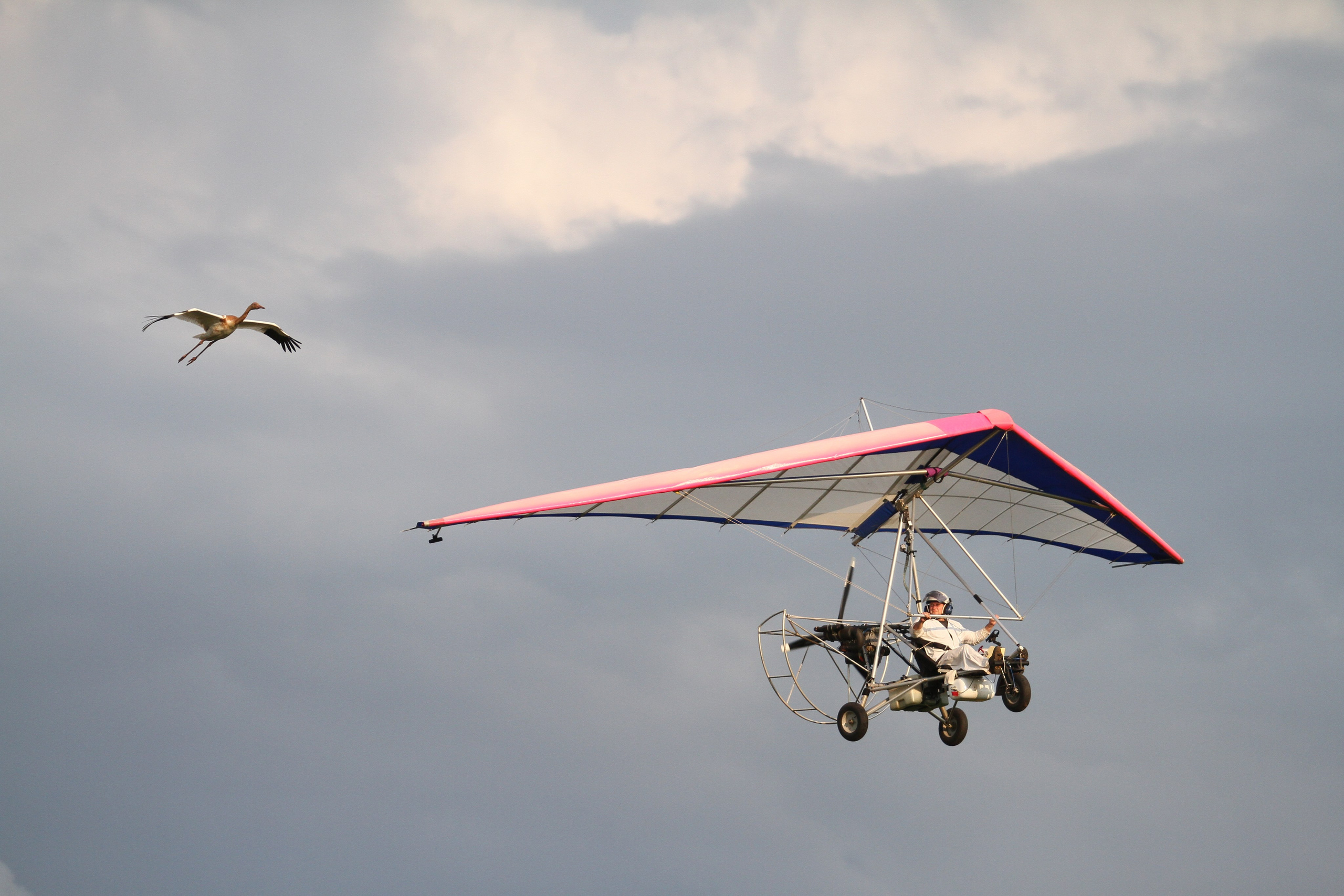 Репортажная съемка. Фотограф в Черногории Андрей Свитайло