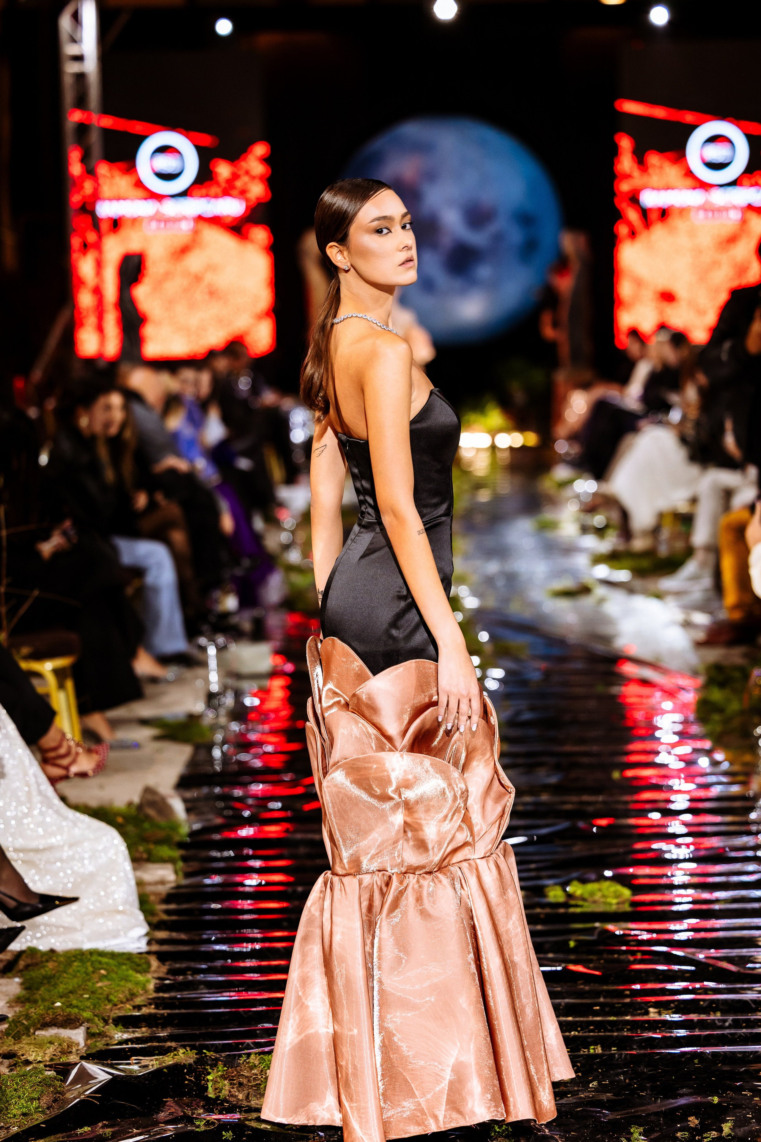 Prive. Marius Ciocan