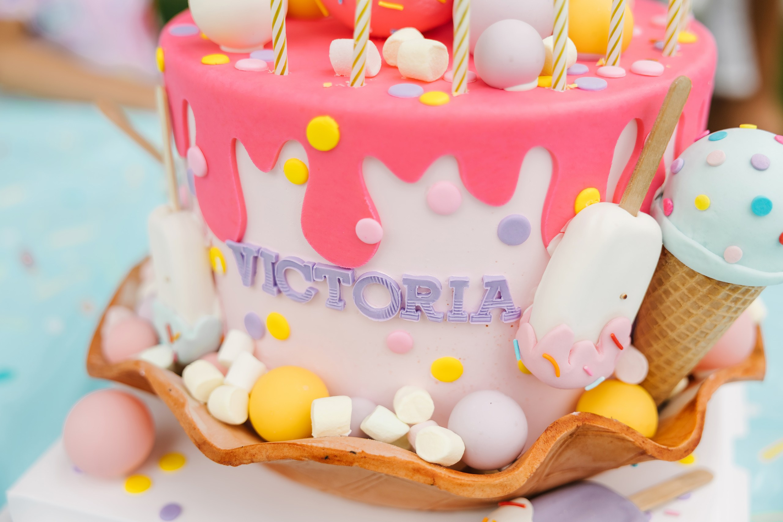 Birthday Party. Wedding family event photographer in Chicago Nick Yushevich