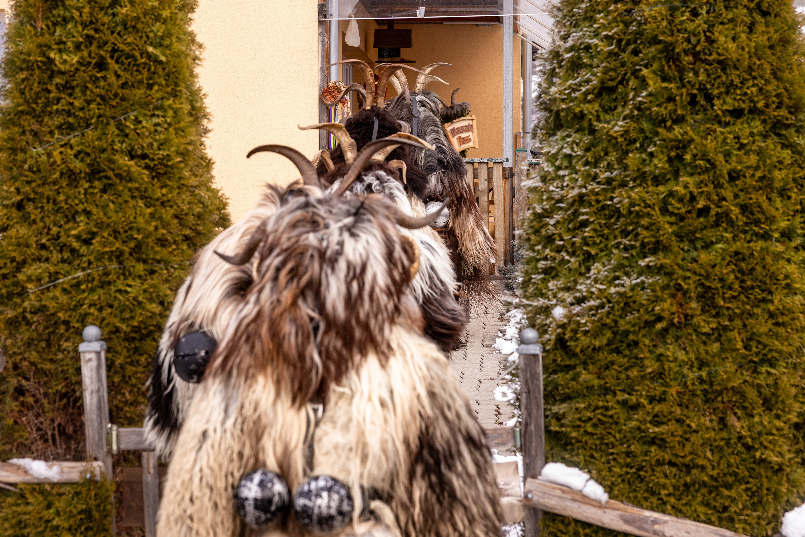 Die junge MAURACH PASS, Bad Gastein, 04.12.2025. Guzel Kolobova| Fotografin| Salzburg