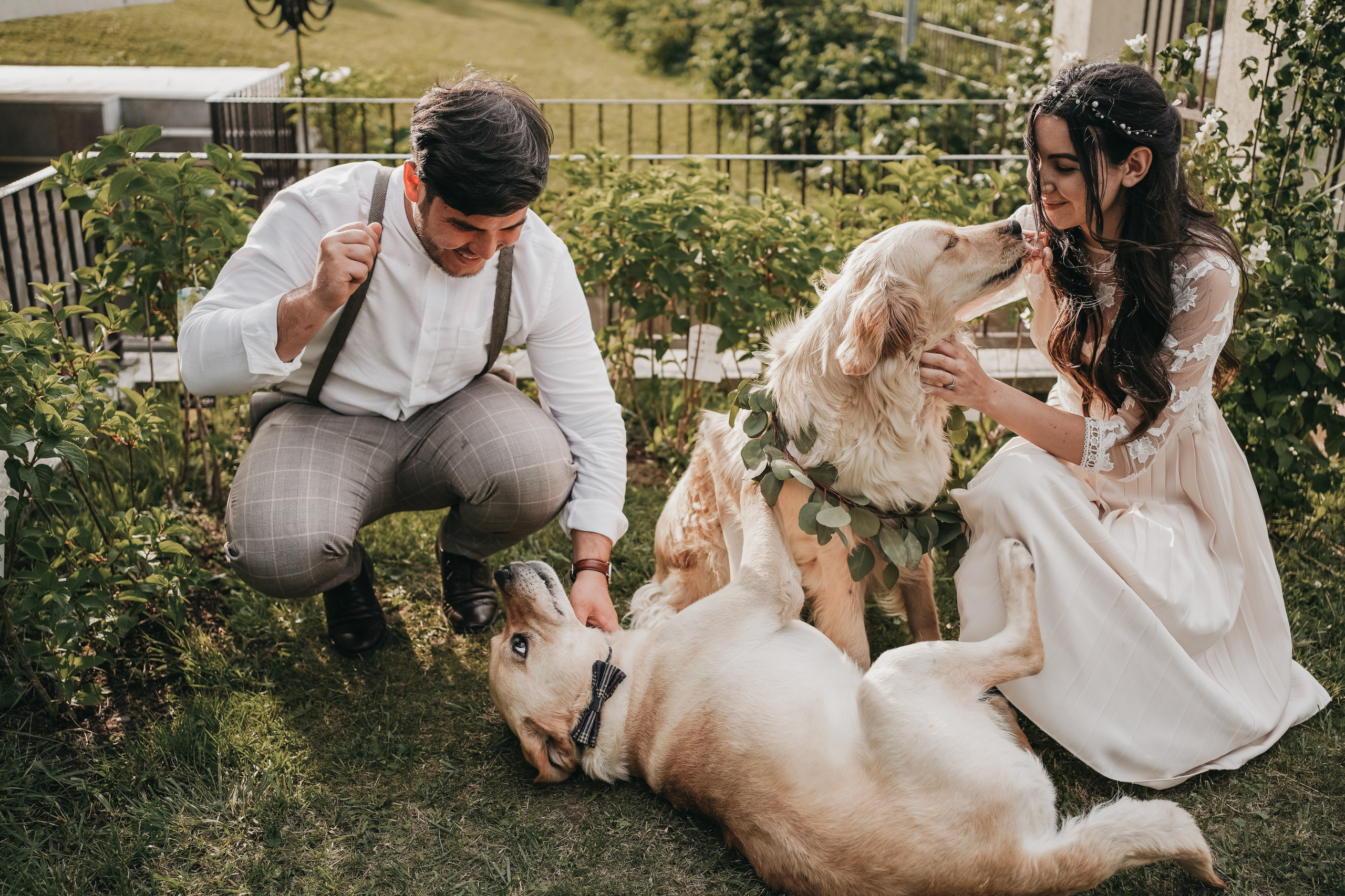 Fotograf stare civila Botosani. Fotograf Nunta Iasi - Hearts & Pictures