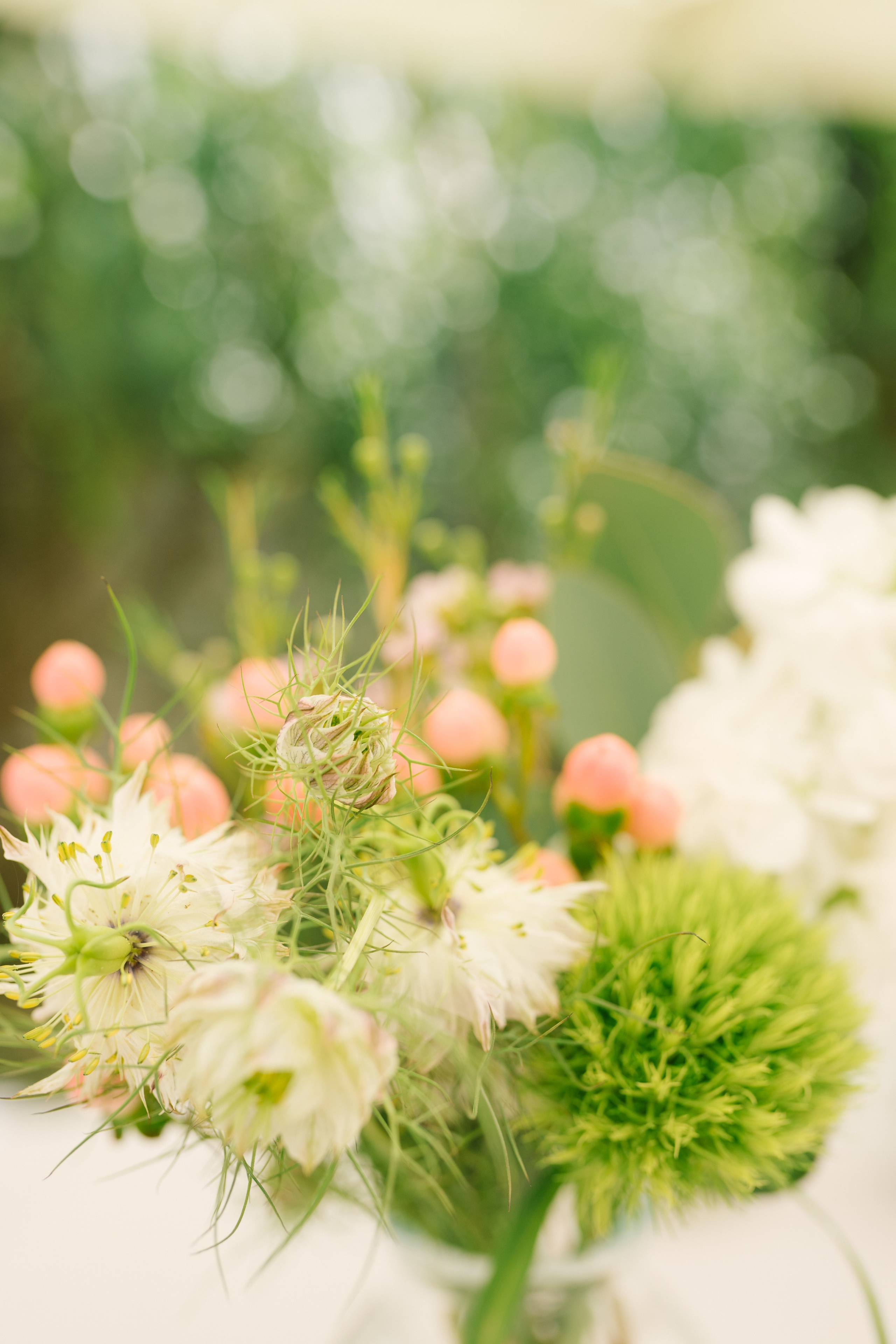 Fotografie de Eveniment Brașov: Povești Vizuale | Mădălina Beda. Madalina Beda- Artist vizual, fotograf, doula la nastere, consultant babywearing Brasov si in toata tara