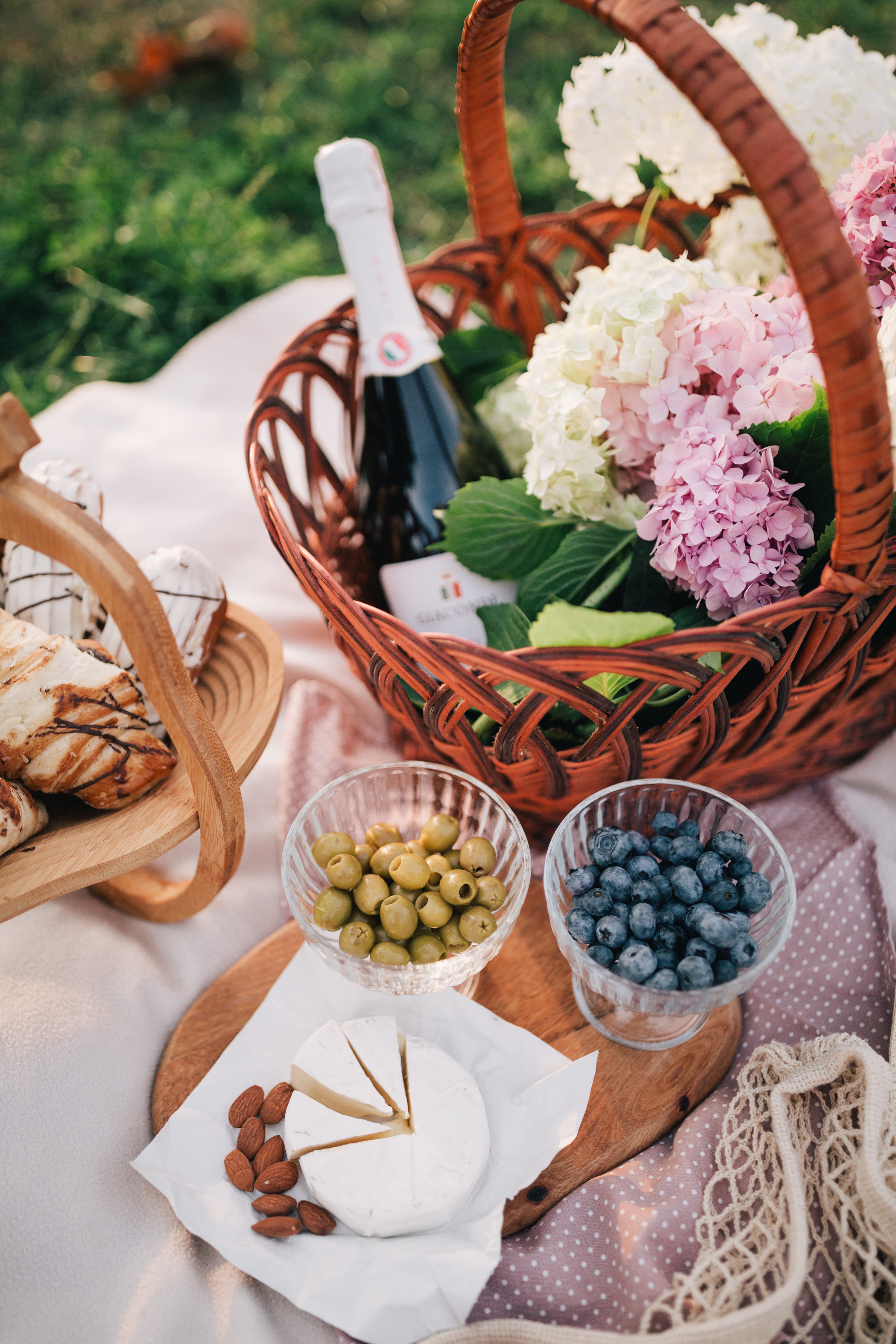 Summer family picnic. Photographe à Rouen, France