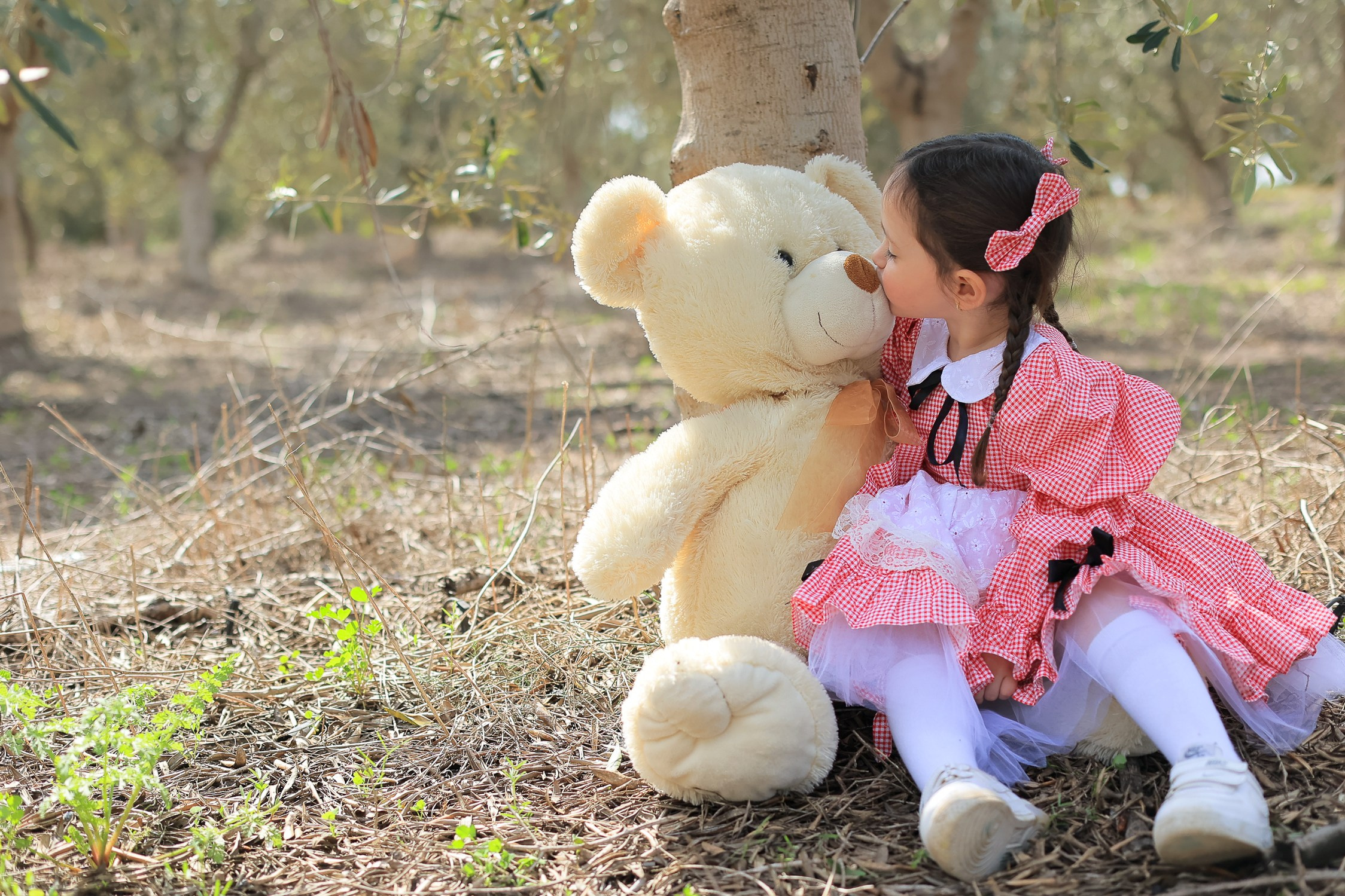 צילומי פורים בטבע. דף בית