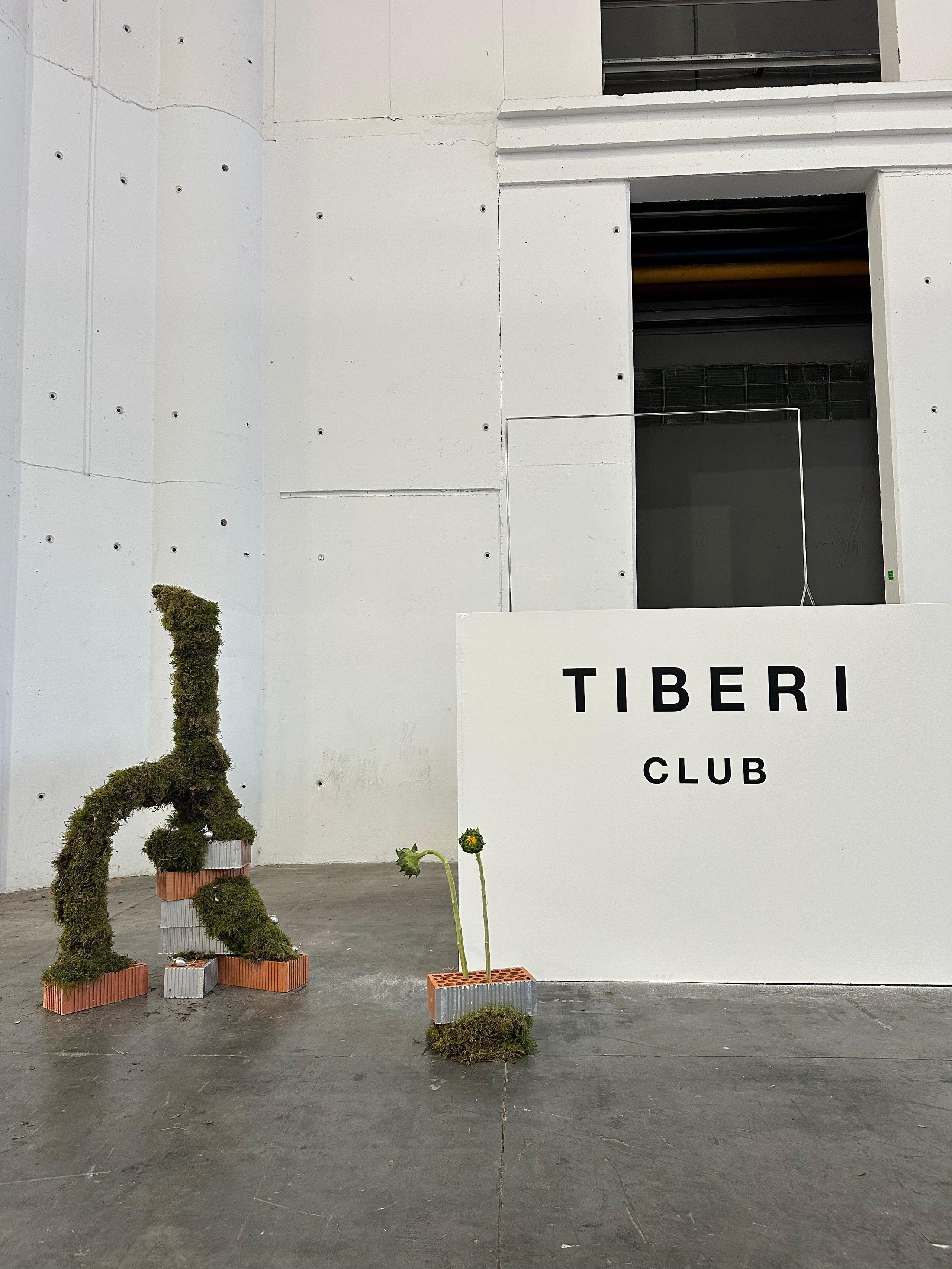 PICNIC.LAB for Tiberi Club en SWAB Barcelona 2025