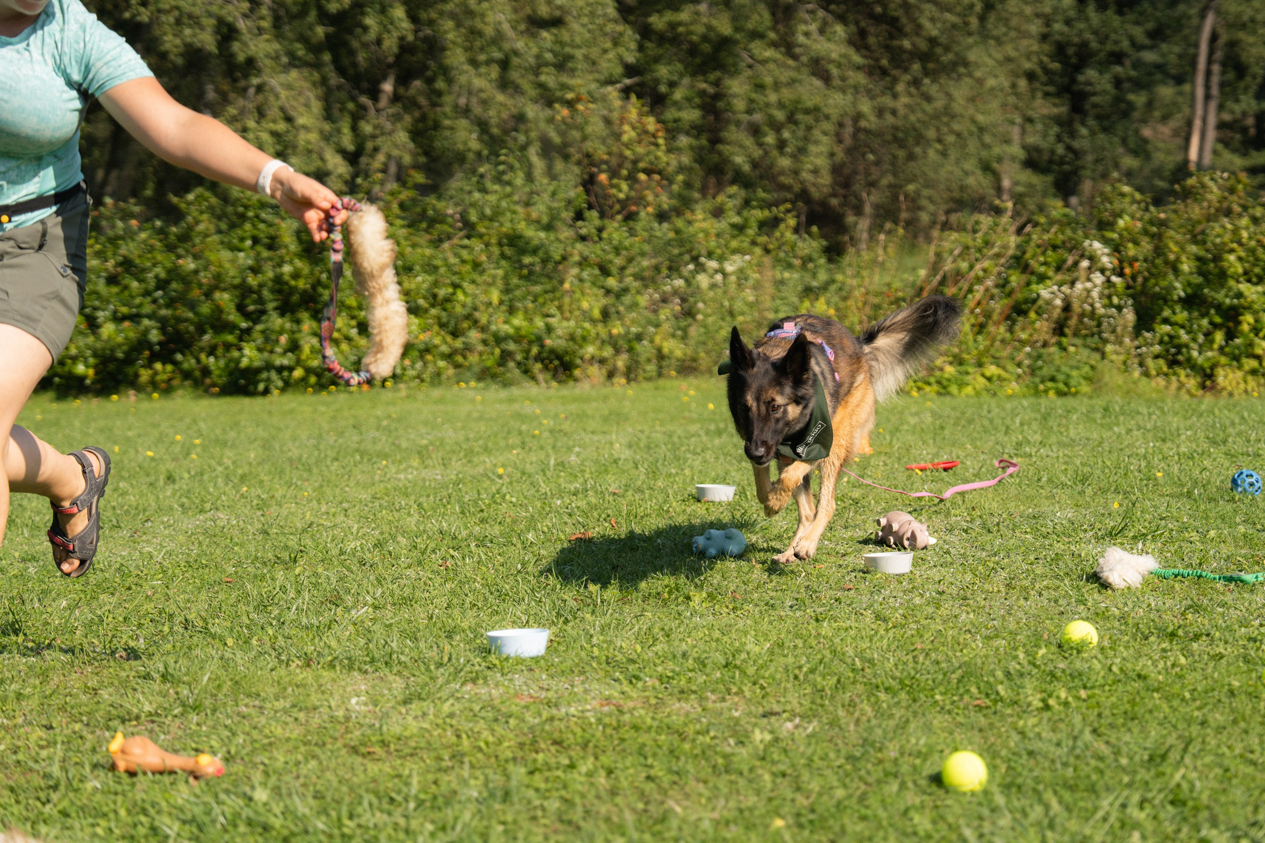 Heppi Dogo fest 2025. Vita Klimaševska ○ Fluffy Soulmate Photography