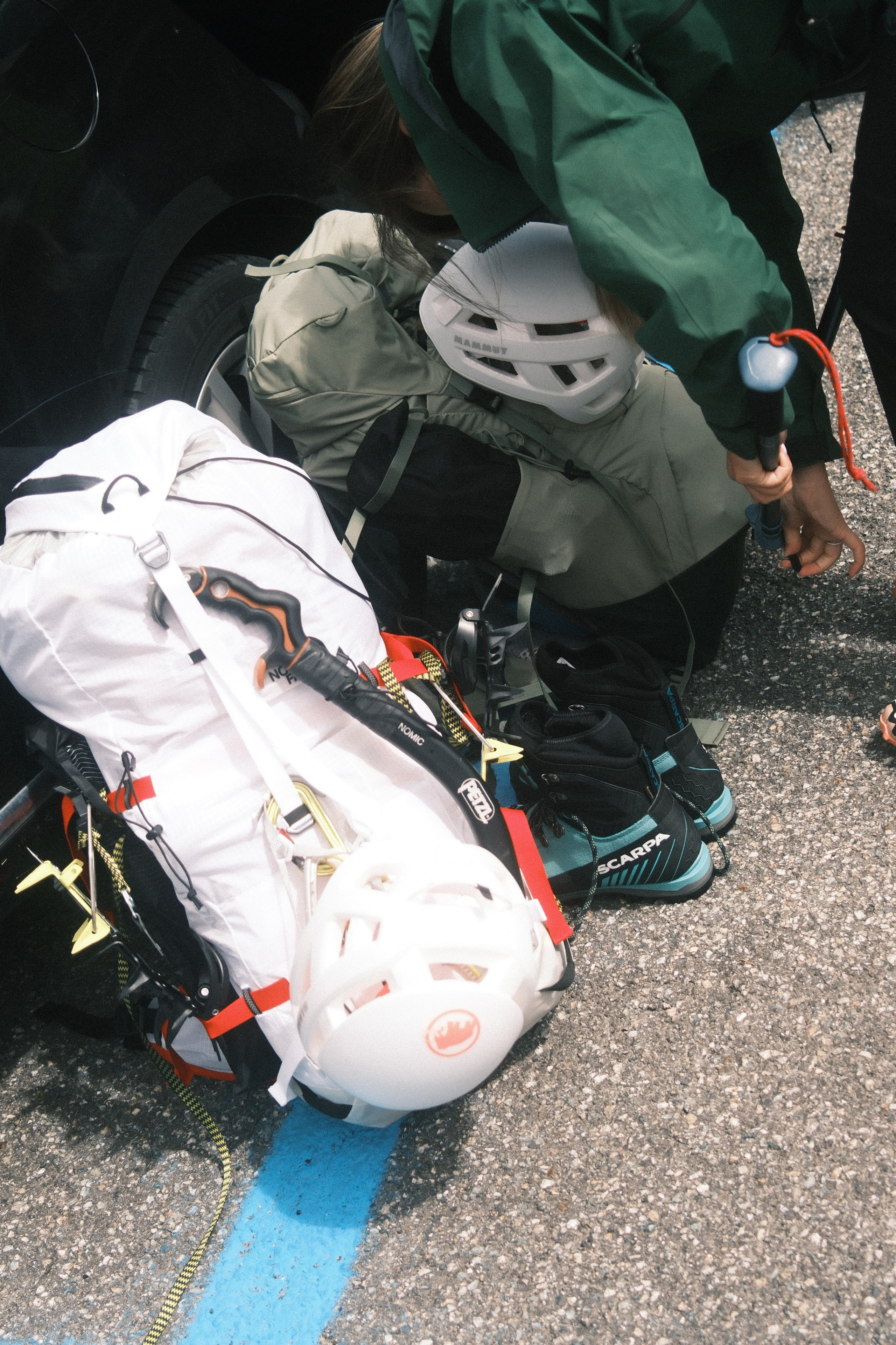 Castor. Patricia Morenci — Mountain Adventures for the Wild at Heart