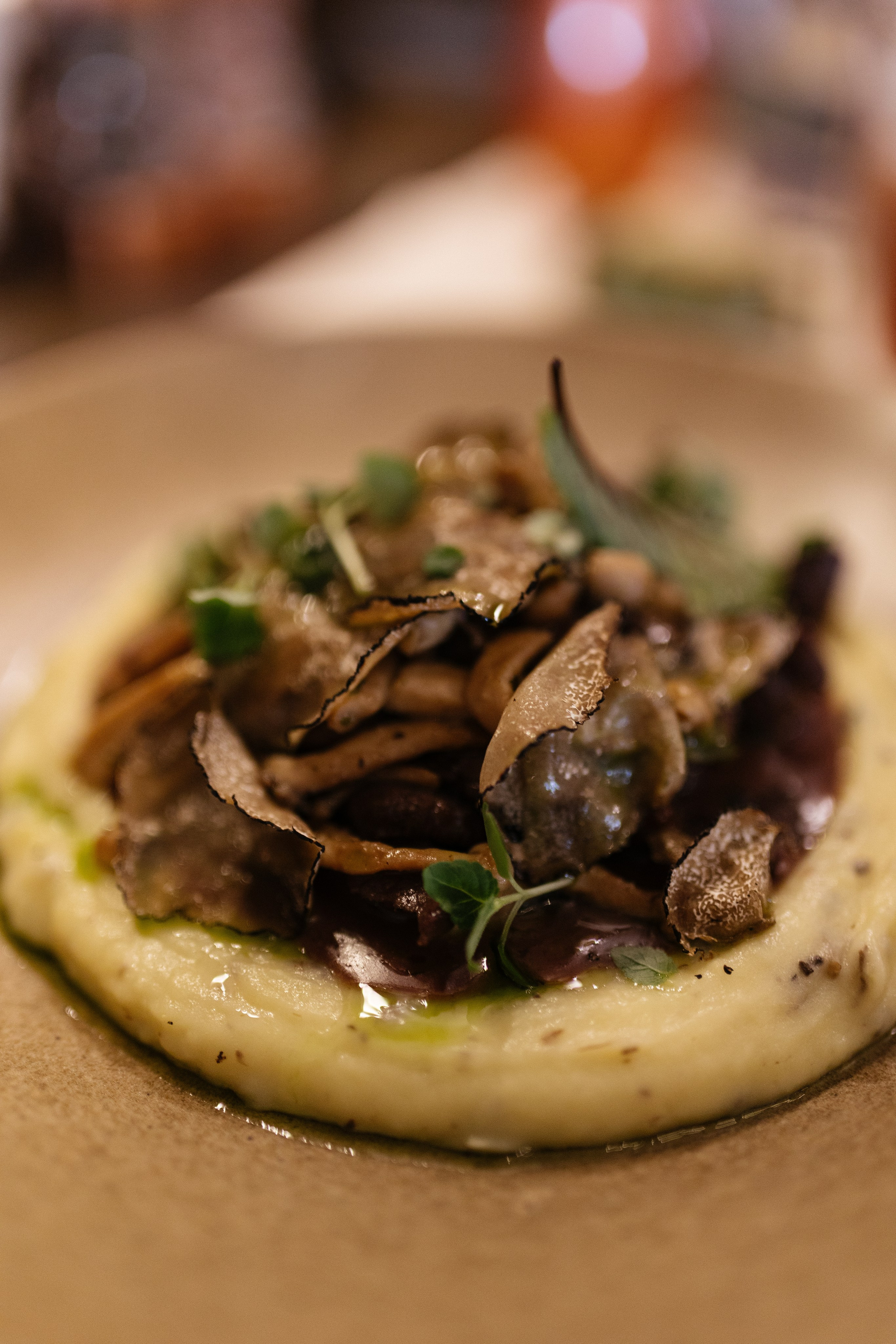 Casa Timis. Patricia Morenci — Mountain Adventures for the Wild at Heart