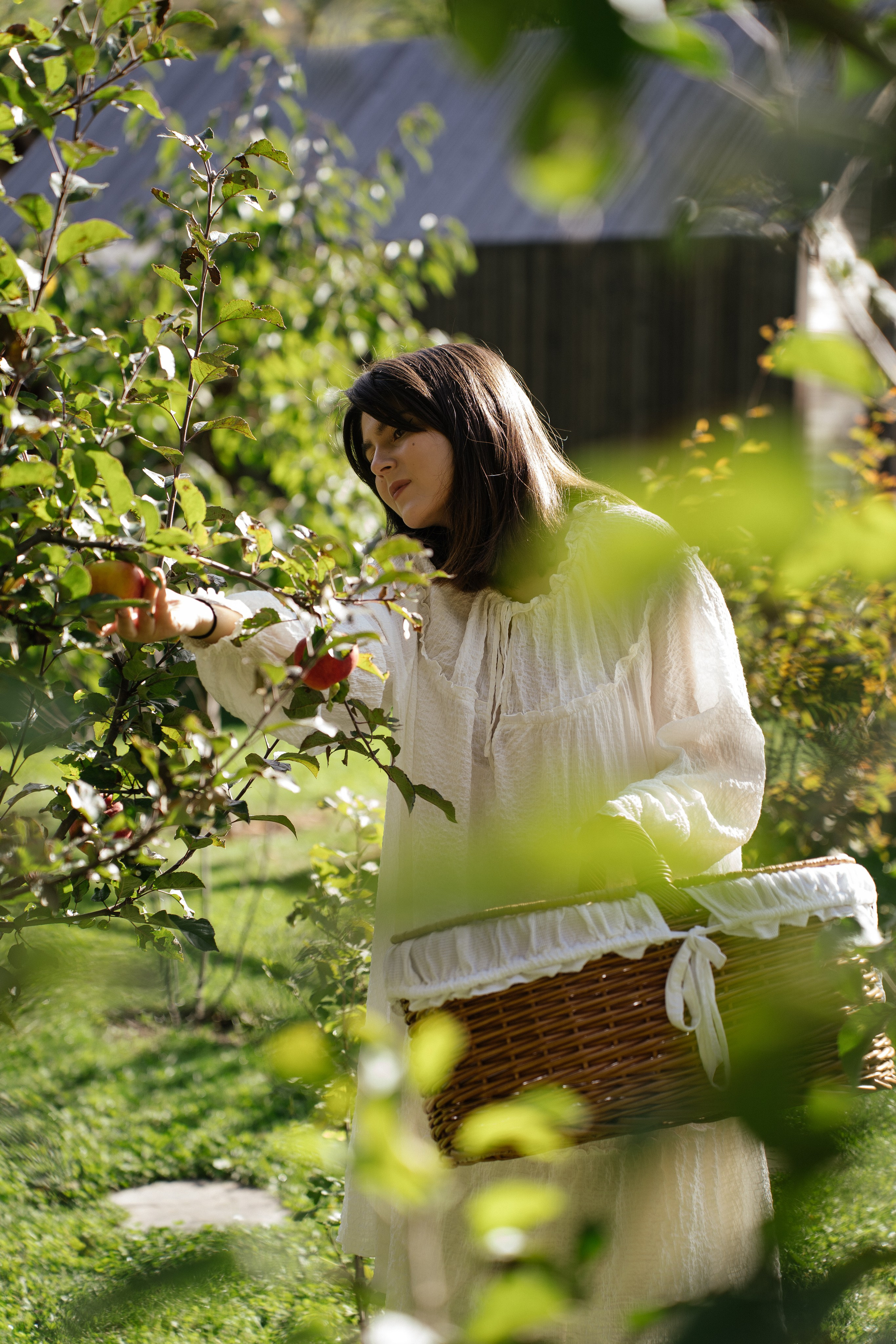 Mood. Patricia Morenci — Mountain Adventures for the Wild at Heart