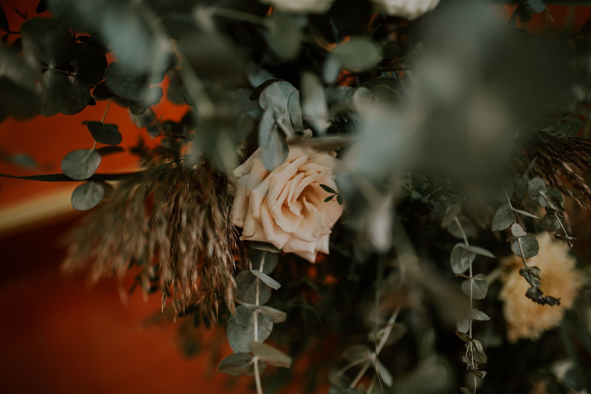 Denis & Ioana. Emotions Photo Art