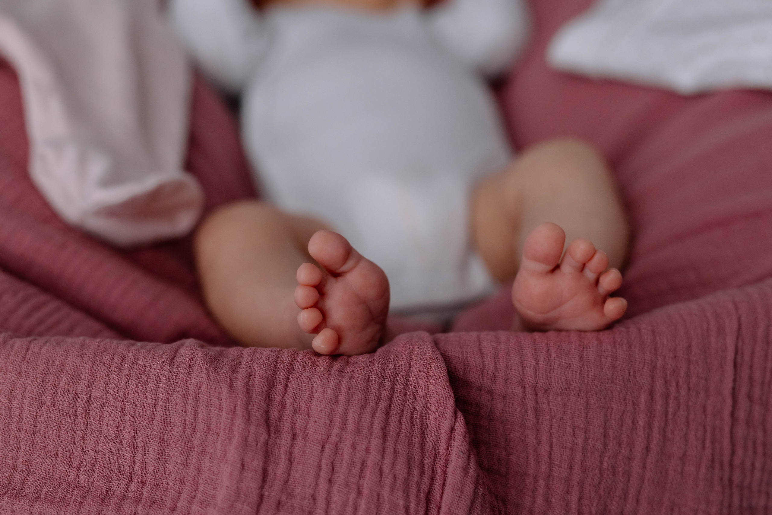 Anastasia — Newborn. Main