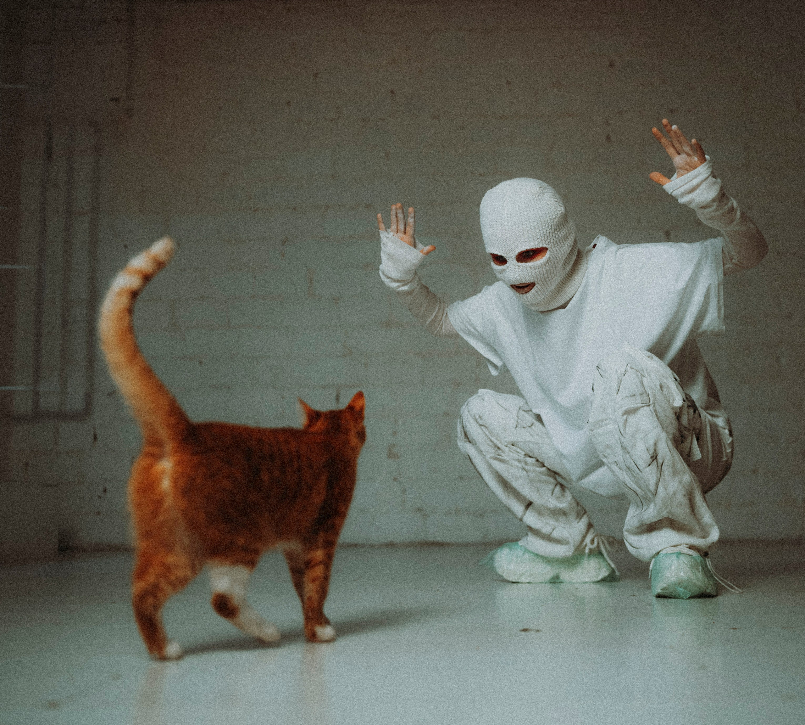 2024. Стрит-фотография, полная абсурда, идиотизма и красоты