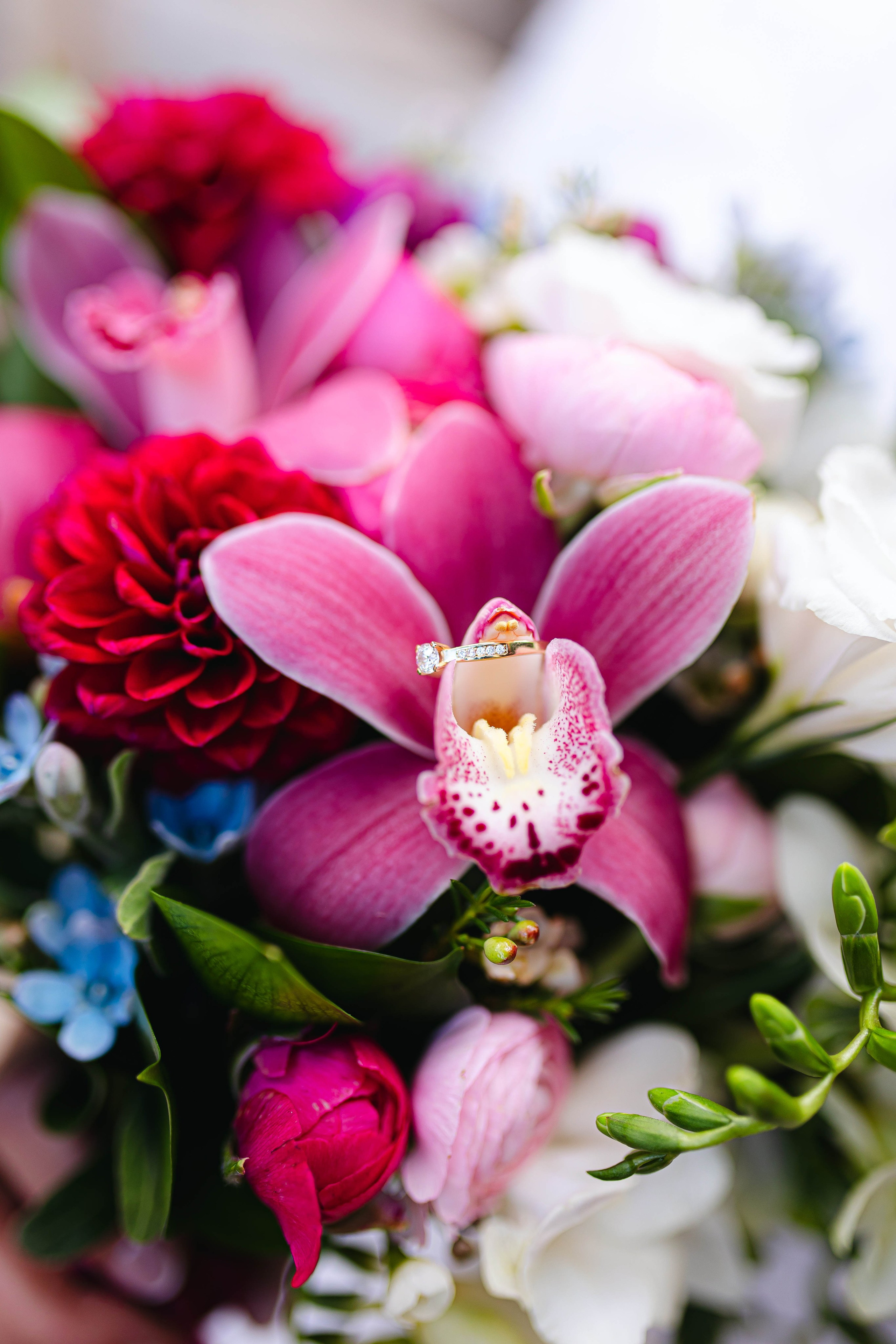 Velvet Moments. Https://shi-photo.com/