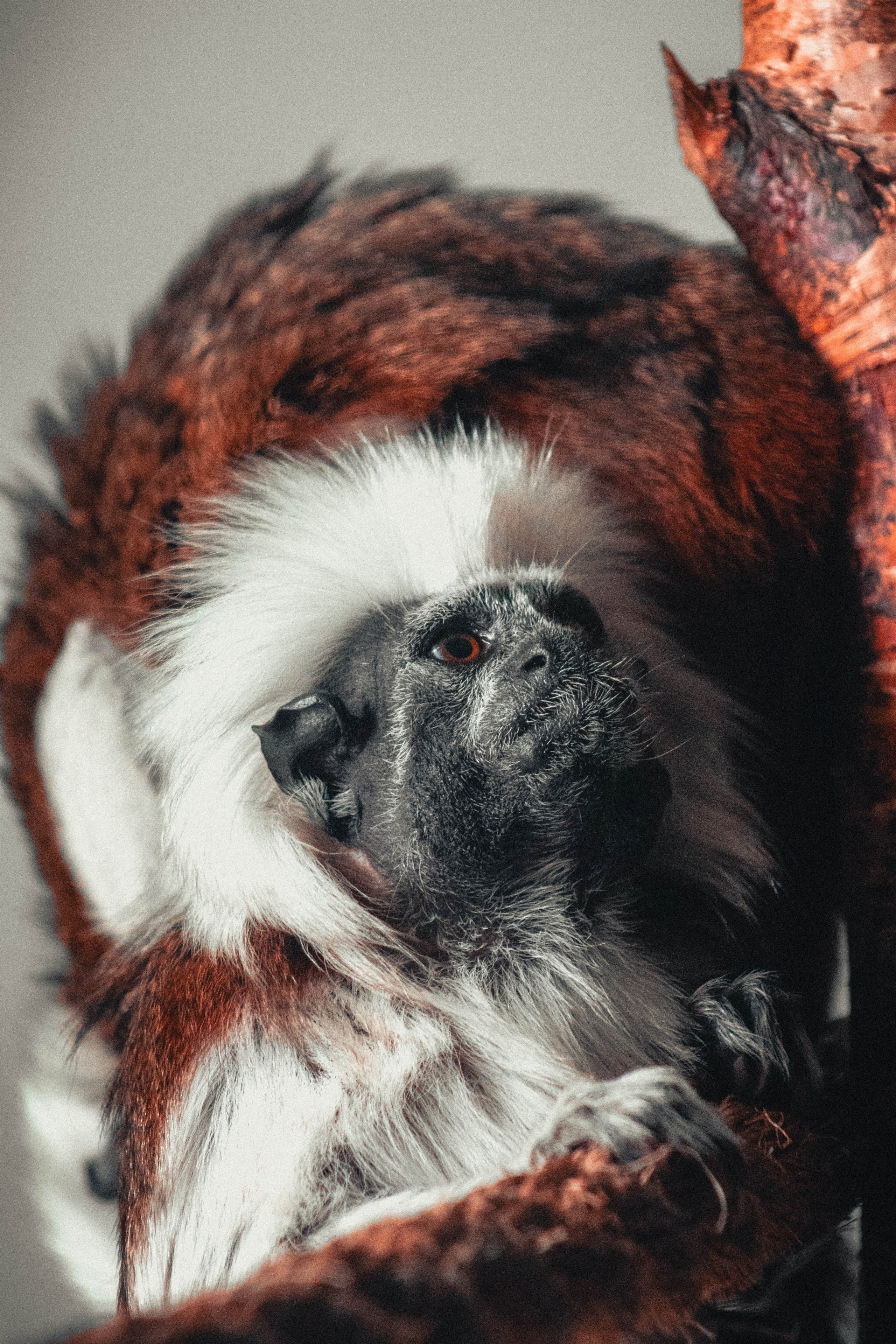 Nature. Portrait and Street photographer in Vilnius Edgar Shaipunas