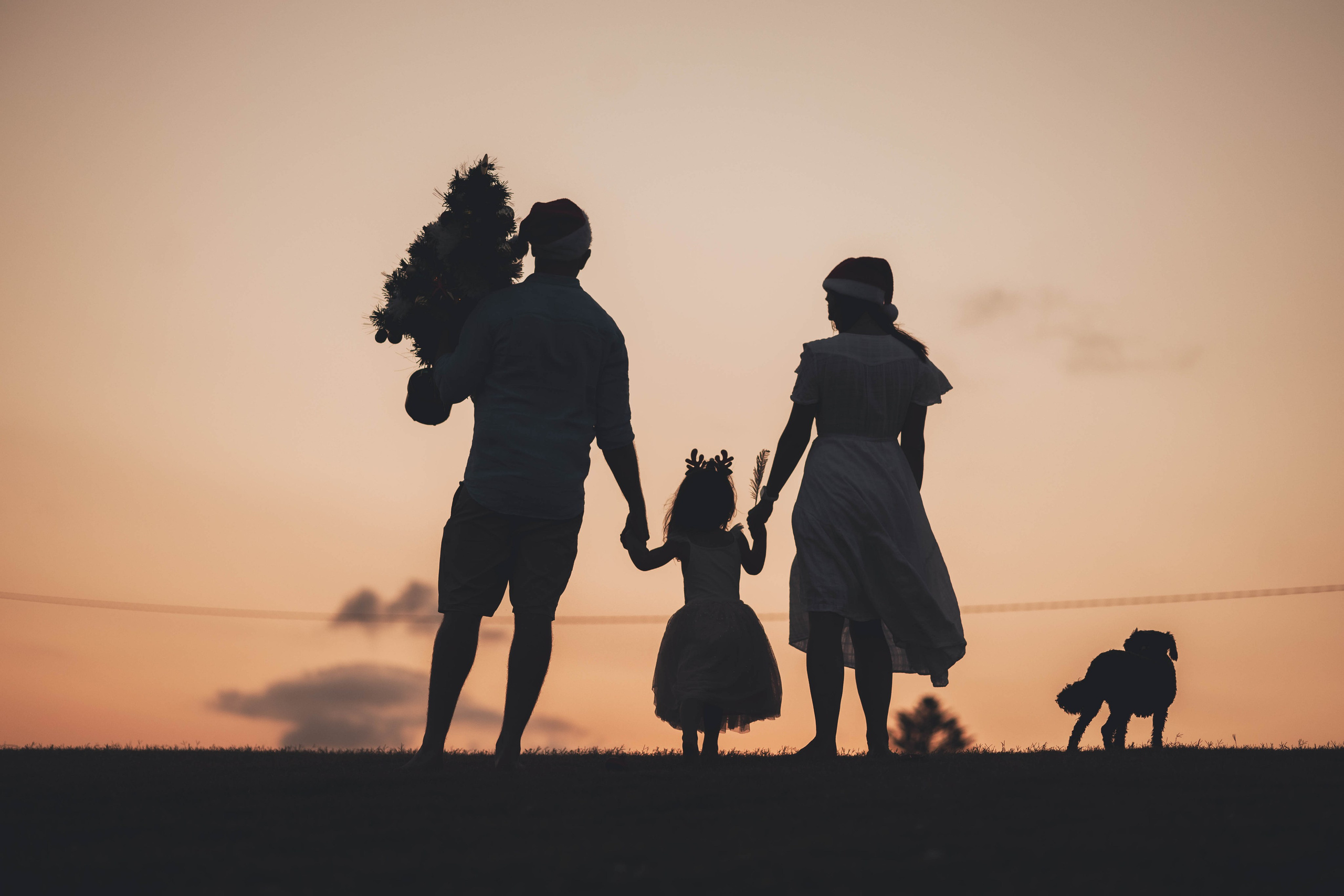 Kat + Andrew + Bella + Roxie. True Story Photography