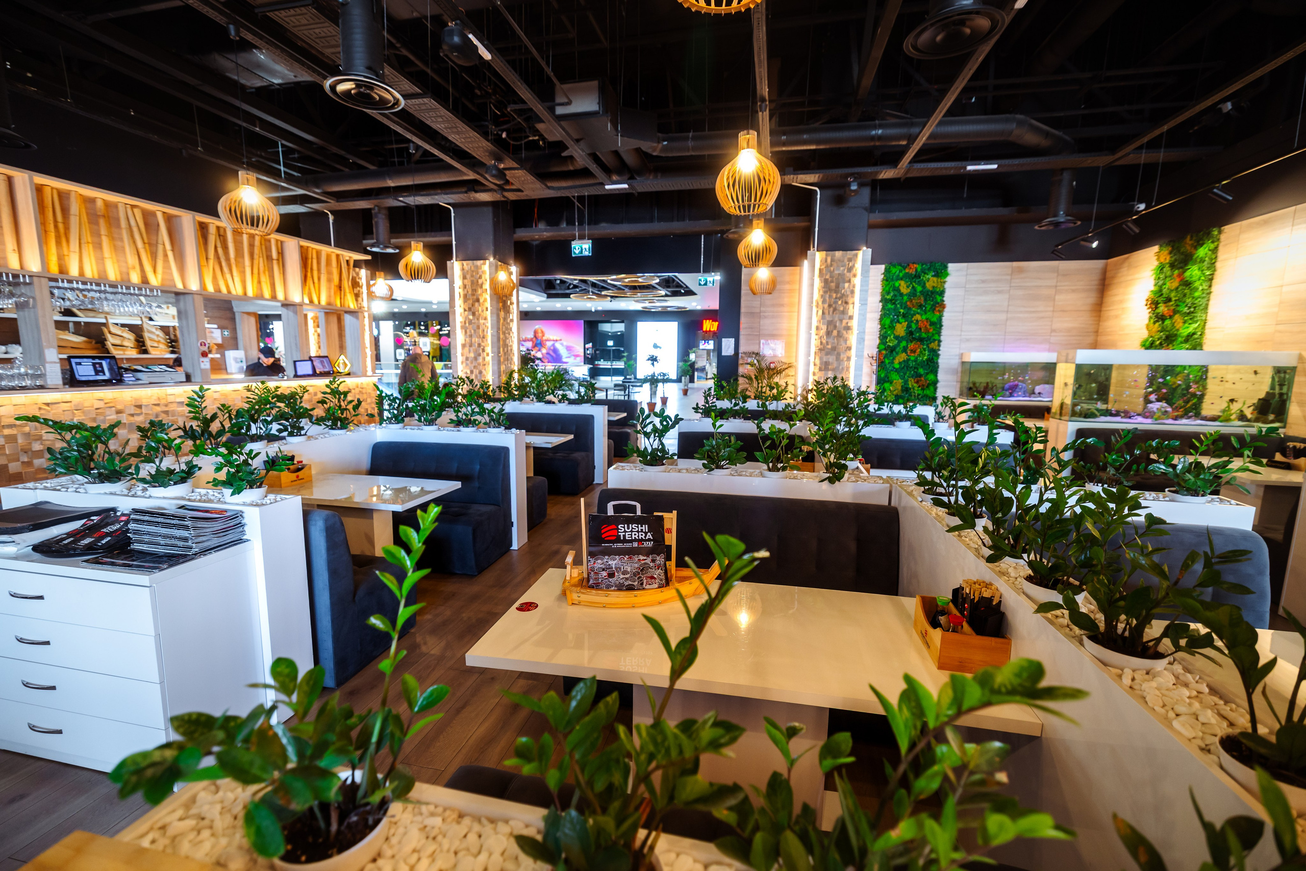 Sushi Terra. Marius Ciocan