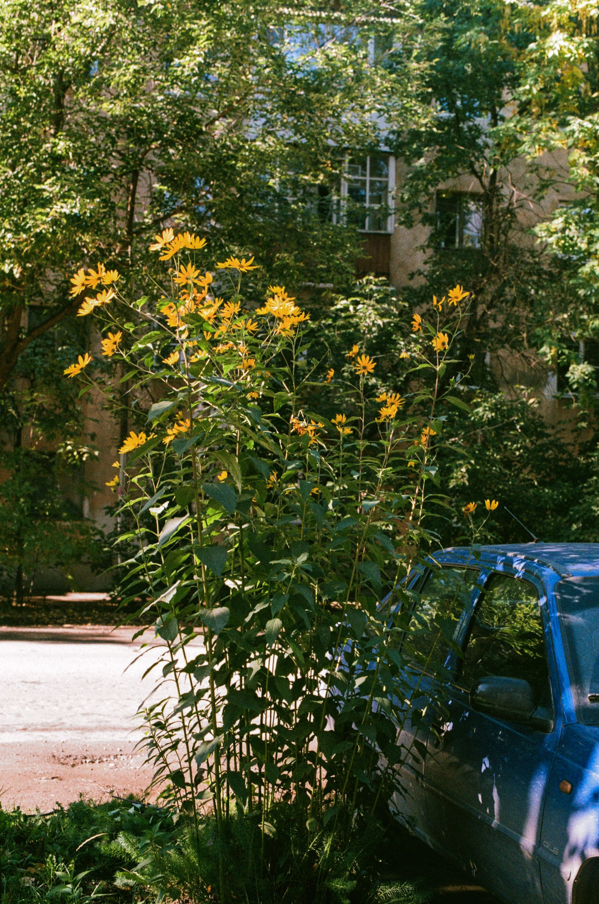 Вологда Архив. «Фотохроники»