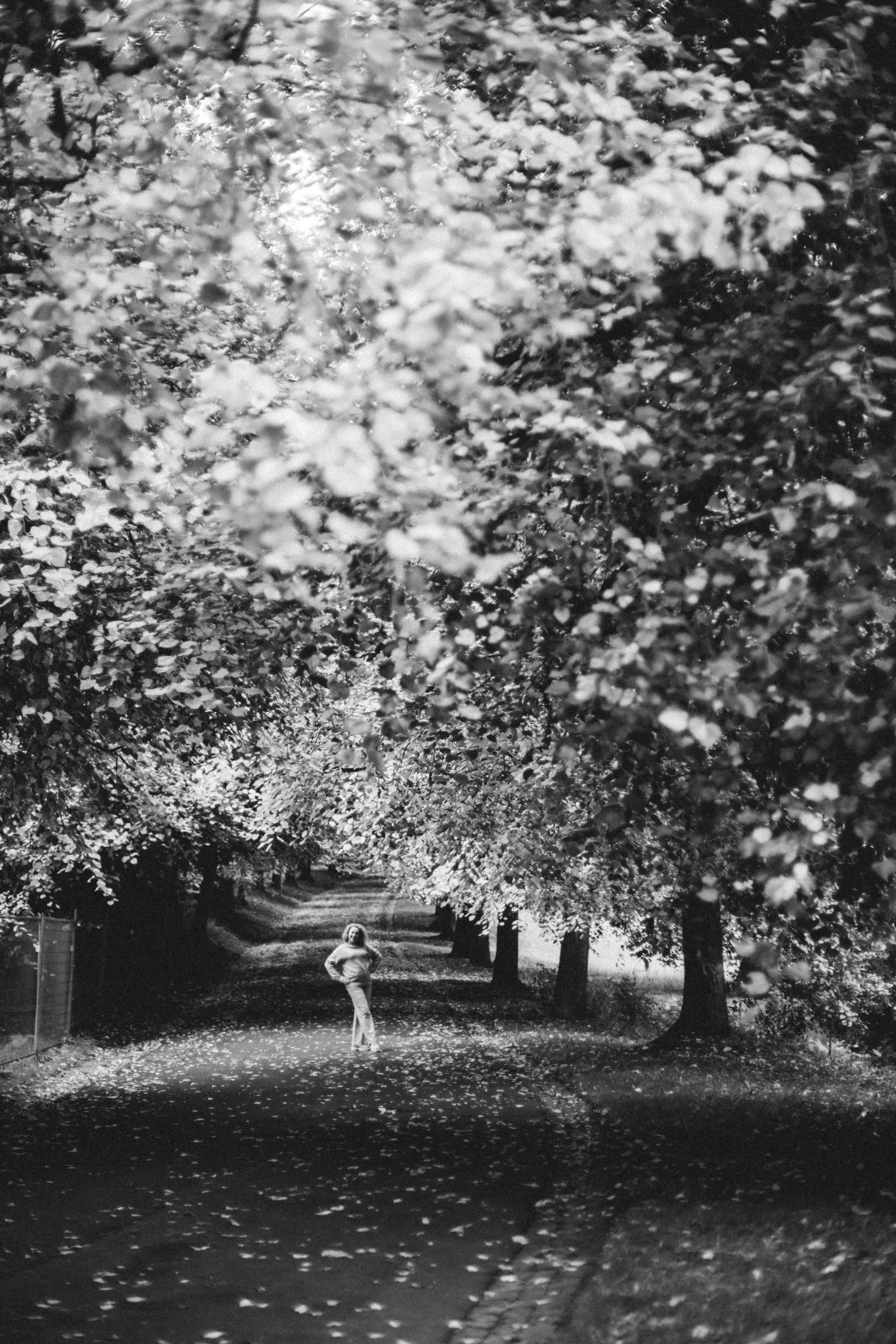 Autumn photos. PHOTOgrapher Germany MARBURG