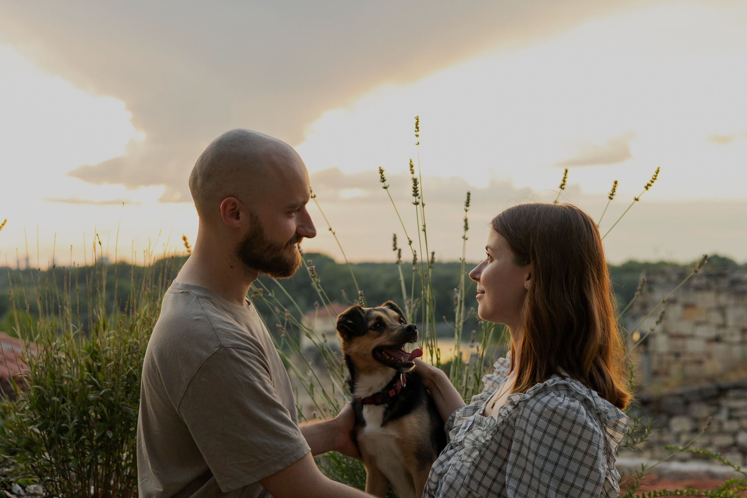 Настя, Денис и Мося. Фотограф-анималист | Белград