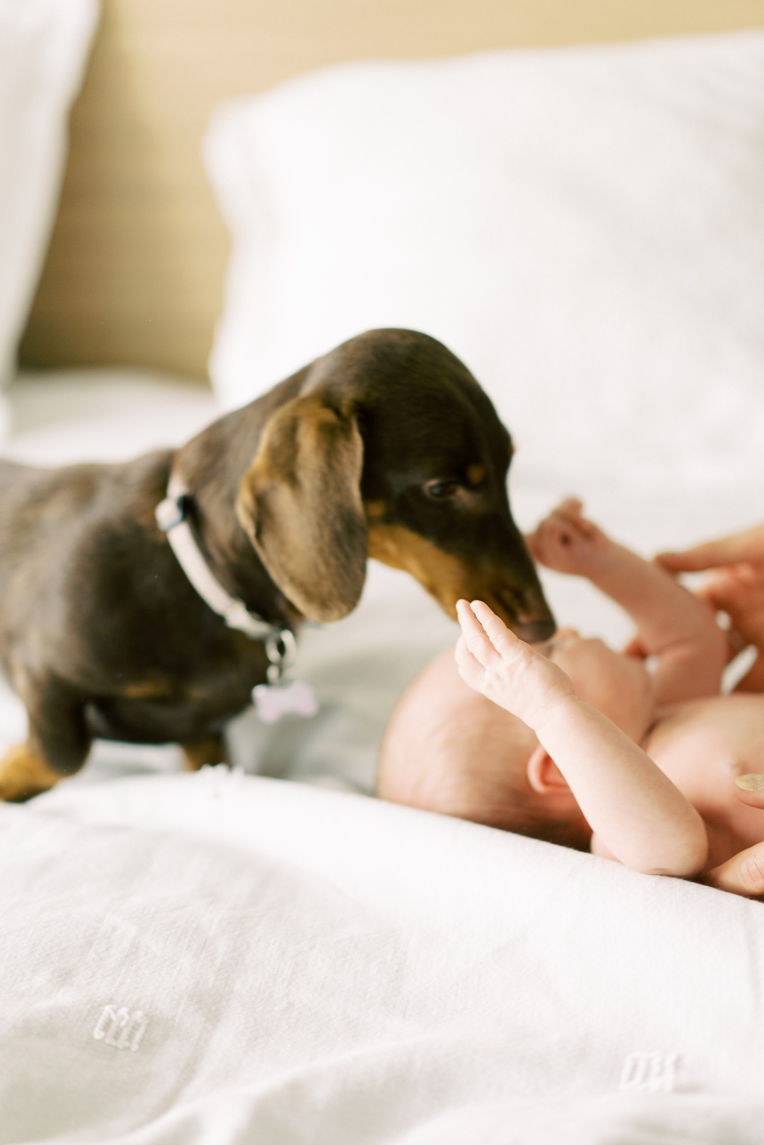 Kids Gallery. Camilla Bloom