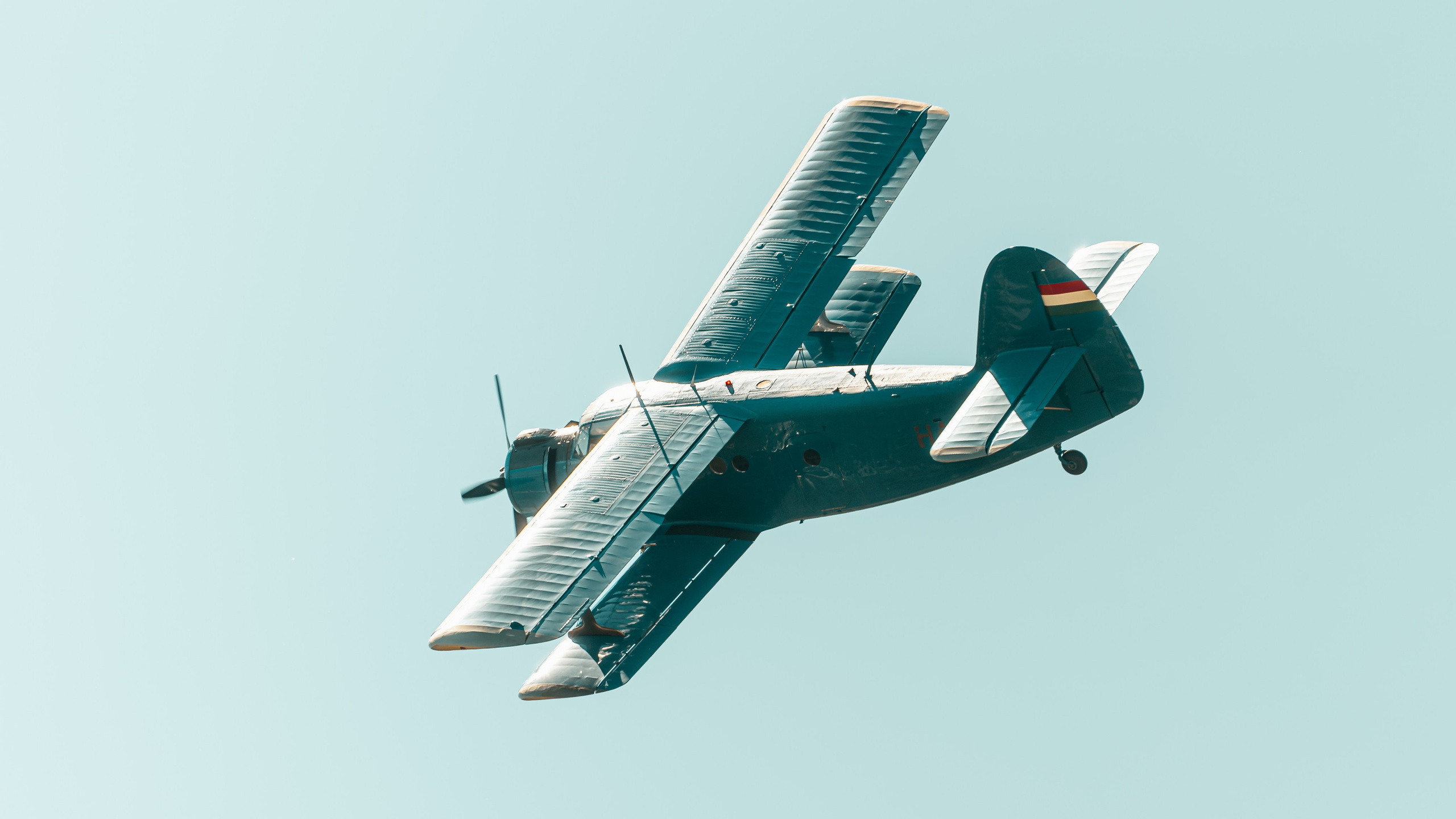 Wings and Friends · Grenchen 2026. Lutsenko Visuals — Photography & Visual Content