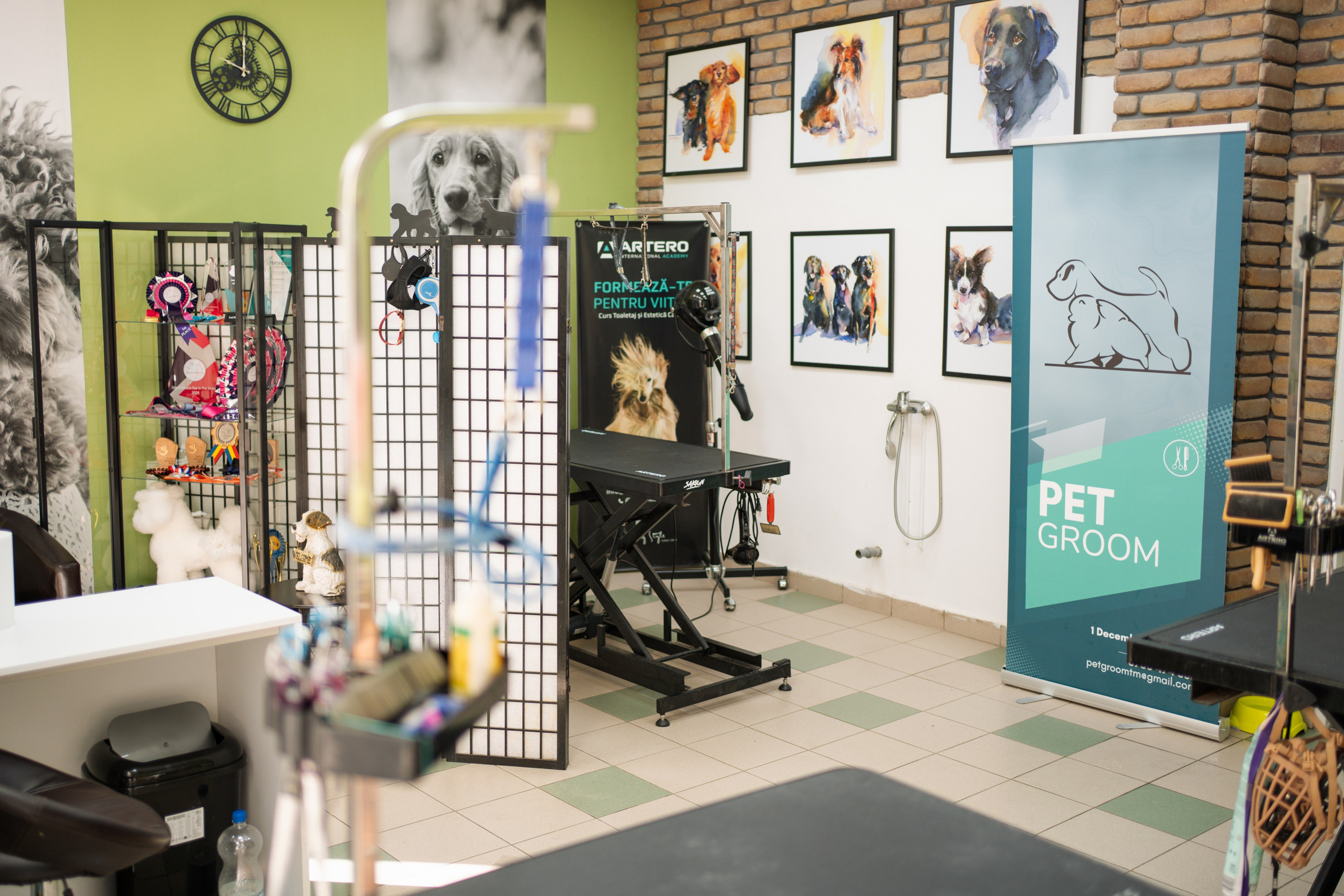 PetGroom Timisoara. Cozac Cristian Photographer