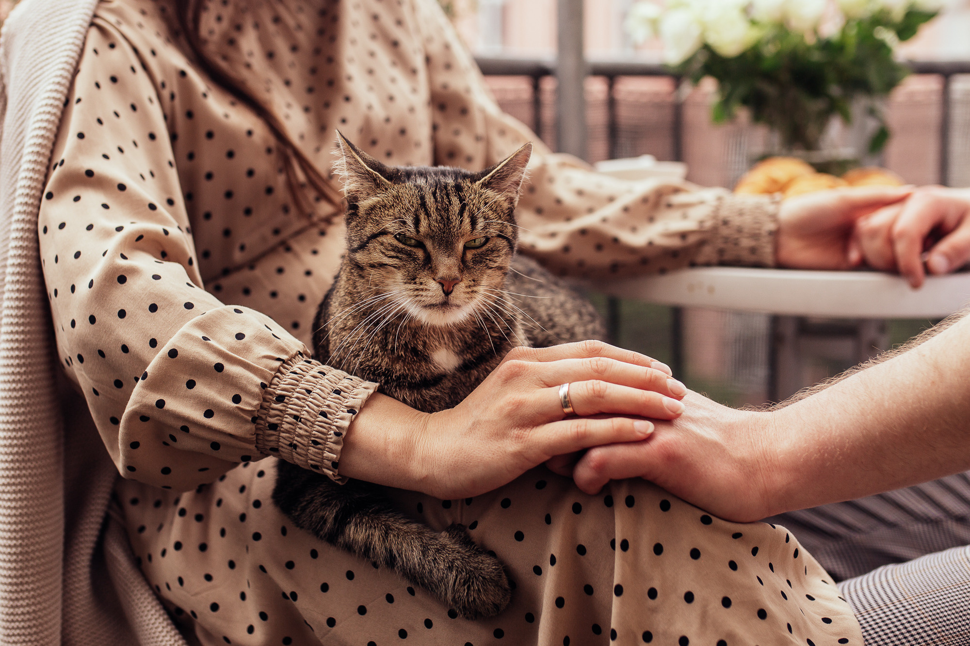 Babybauch und süße Katze. Hochzeitsfotografie in Berlin Nataliia Schütze